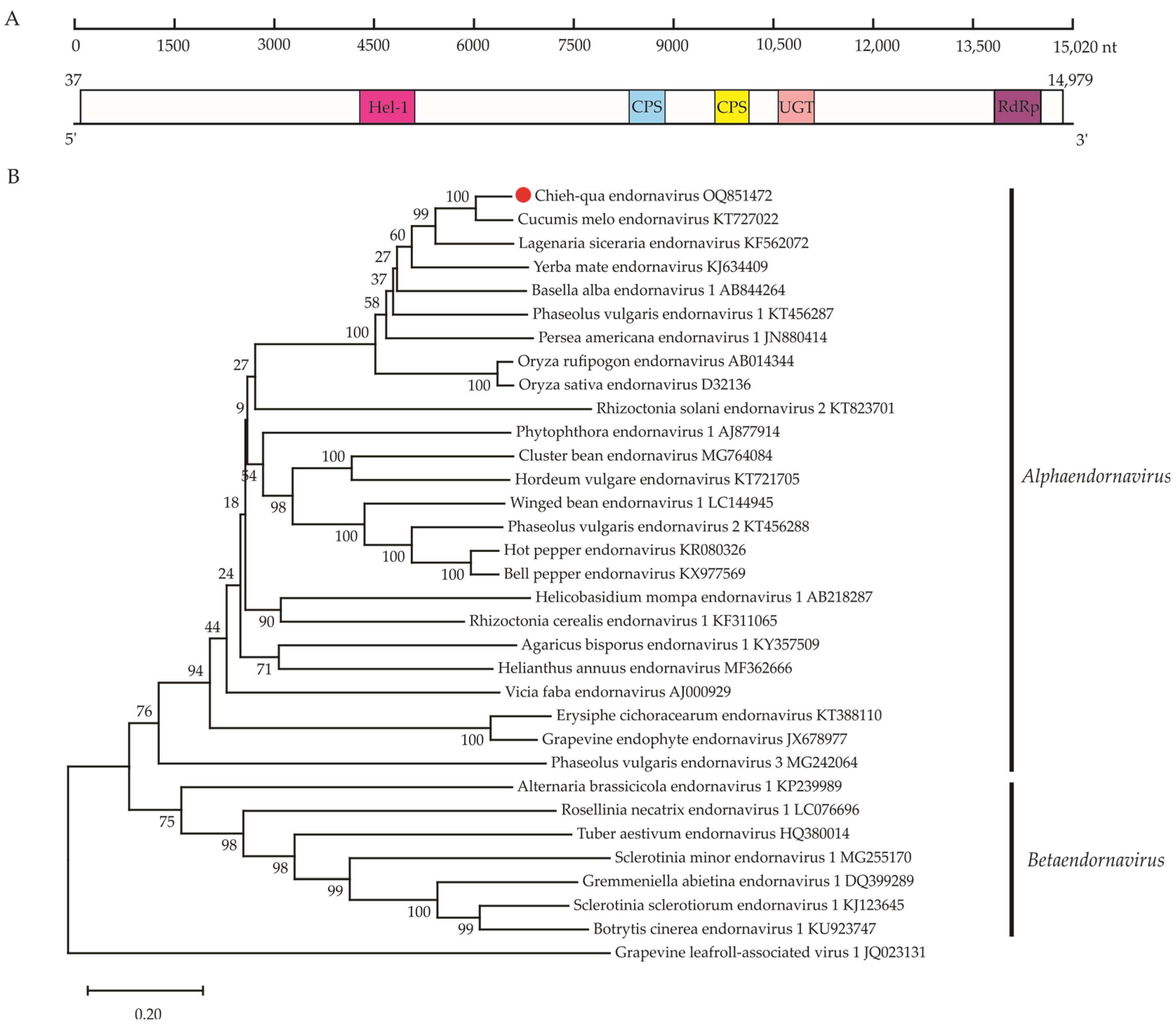 Viruses 15 01396 g004 Viruses 15 01396 g004