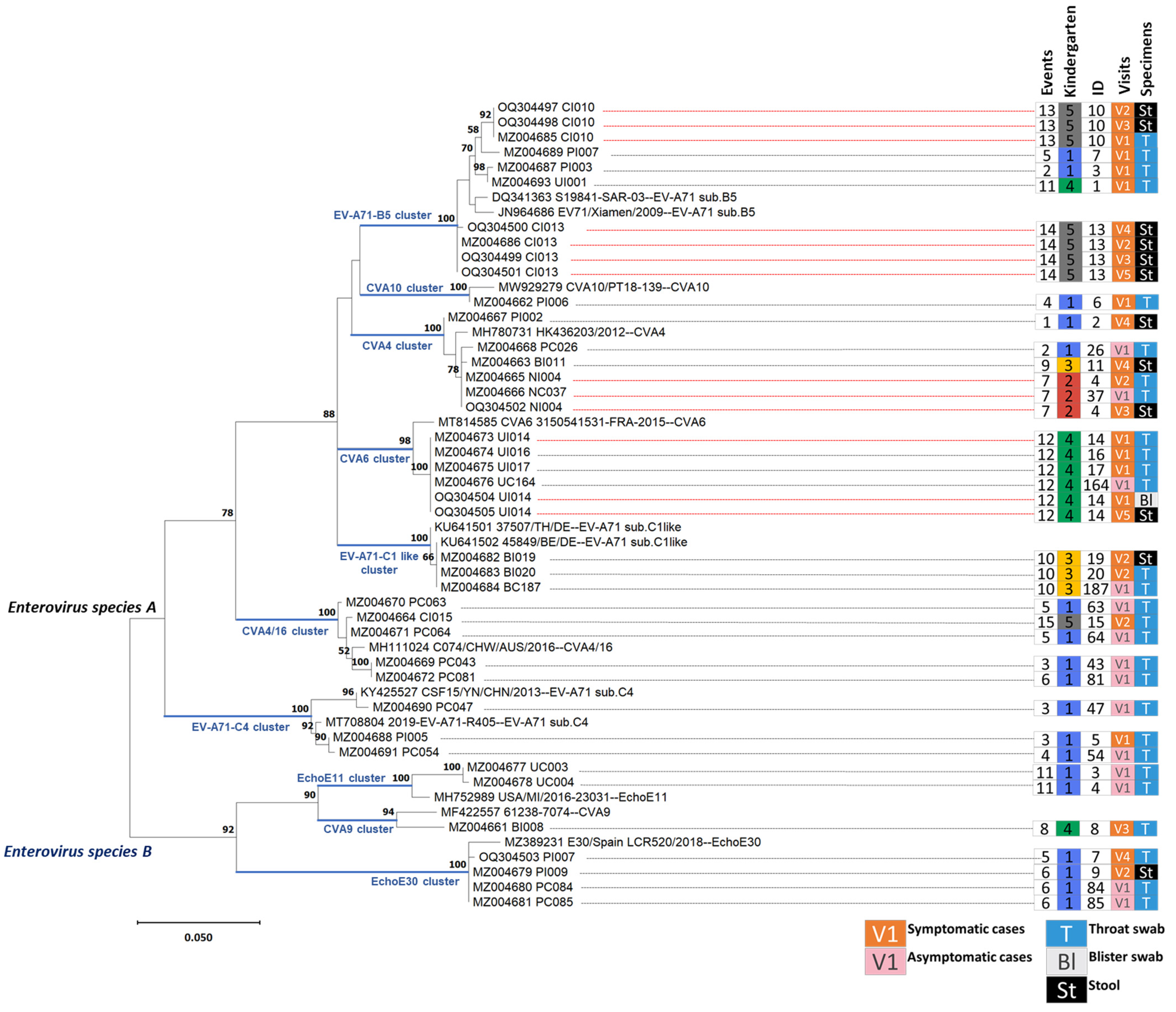 Viruses 15 01397 g002