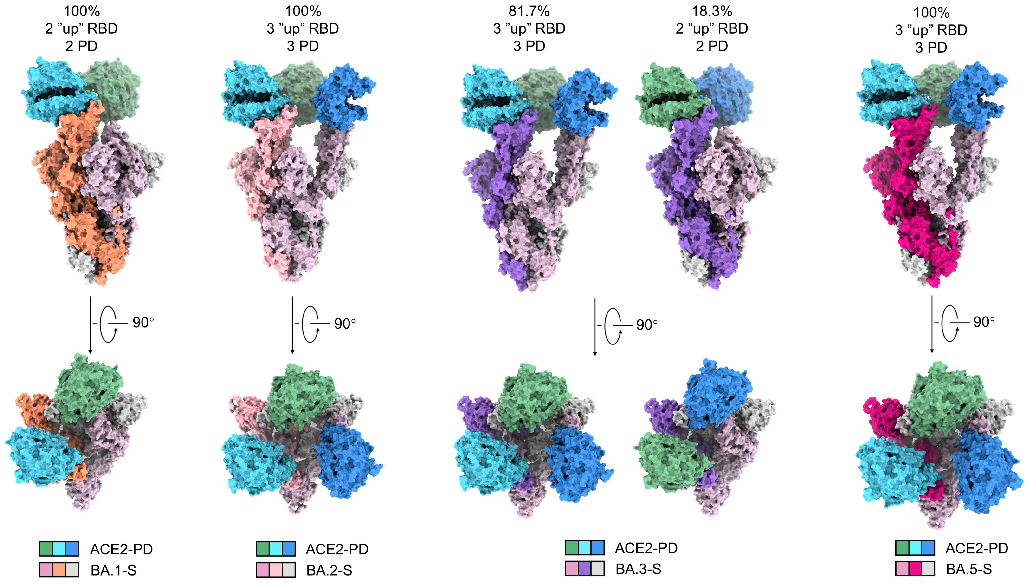 Viruses 15 01398 g002 Viruses 15 01398 g002