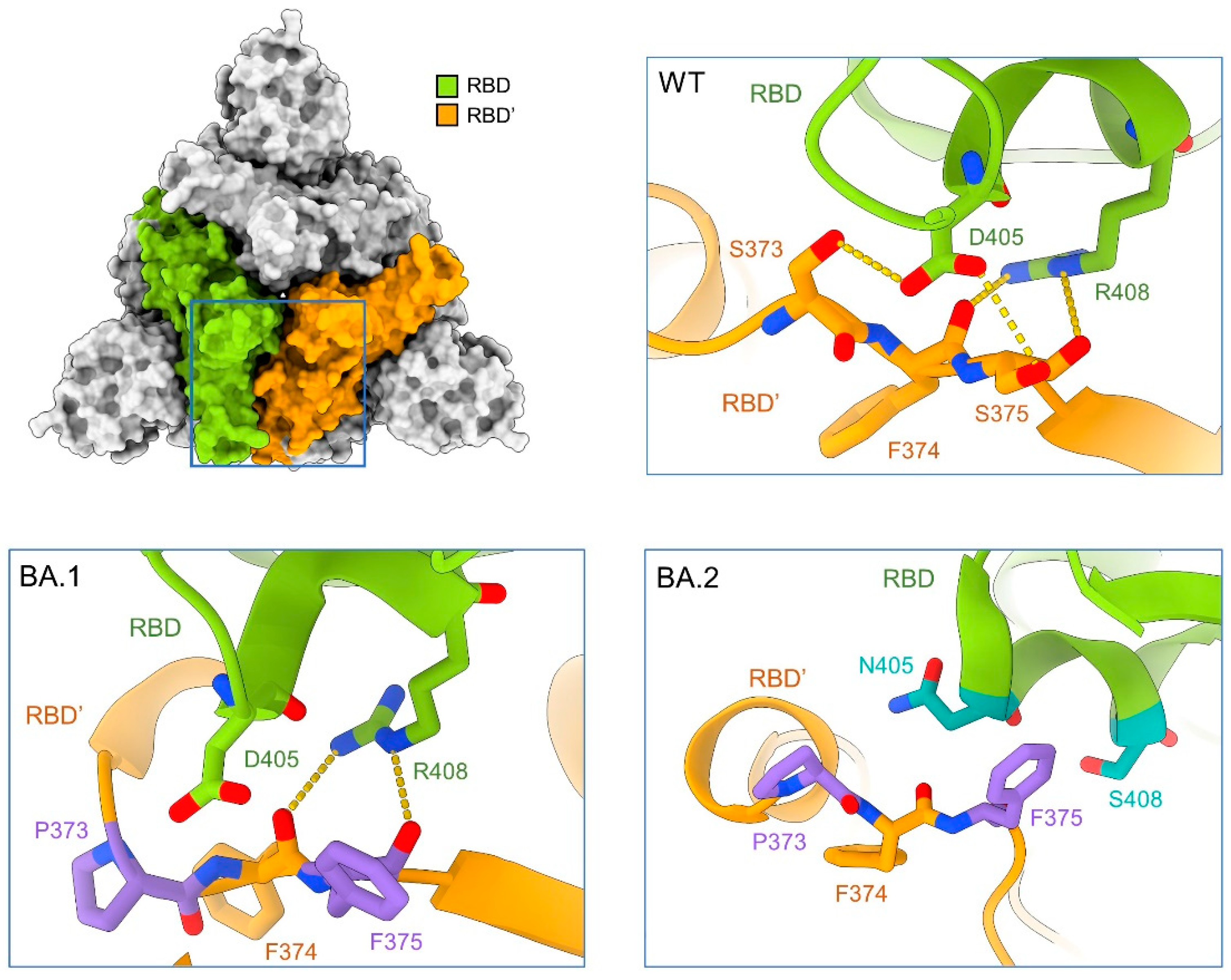 Viruses 15 01398 g003 Viruses 15 01398 g003