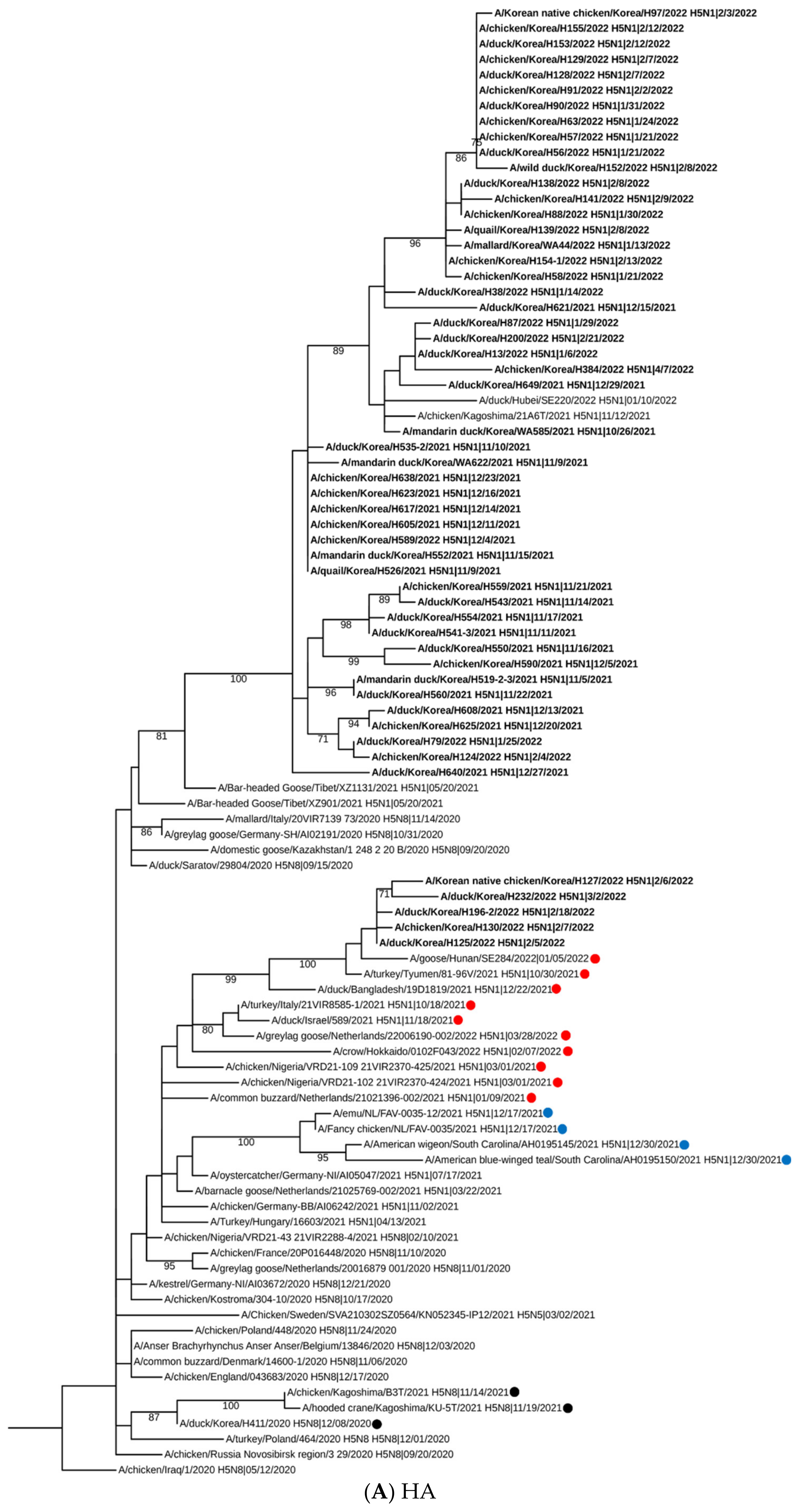 Viruses 15 01403 g001a Viruses 15 01403 g001a