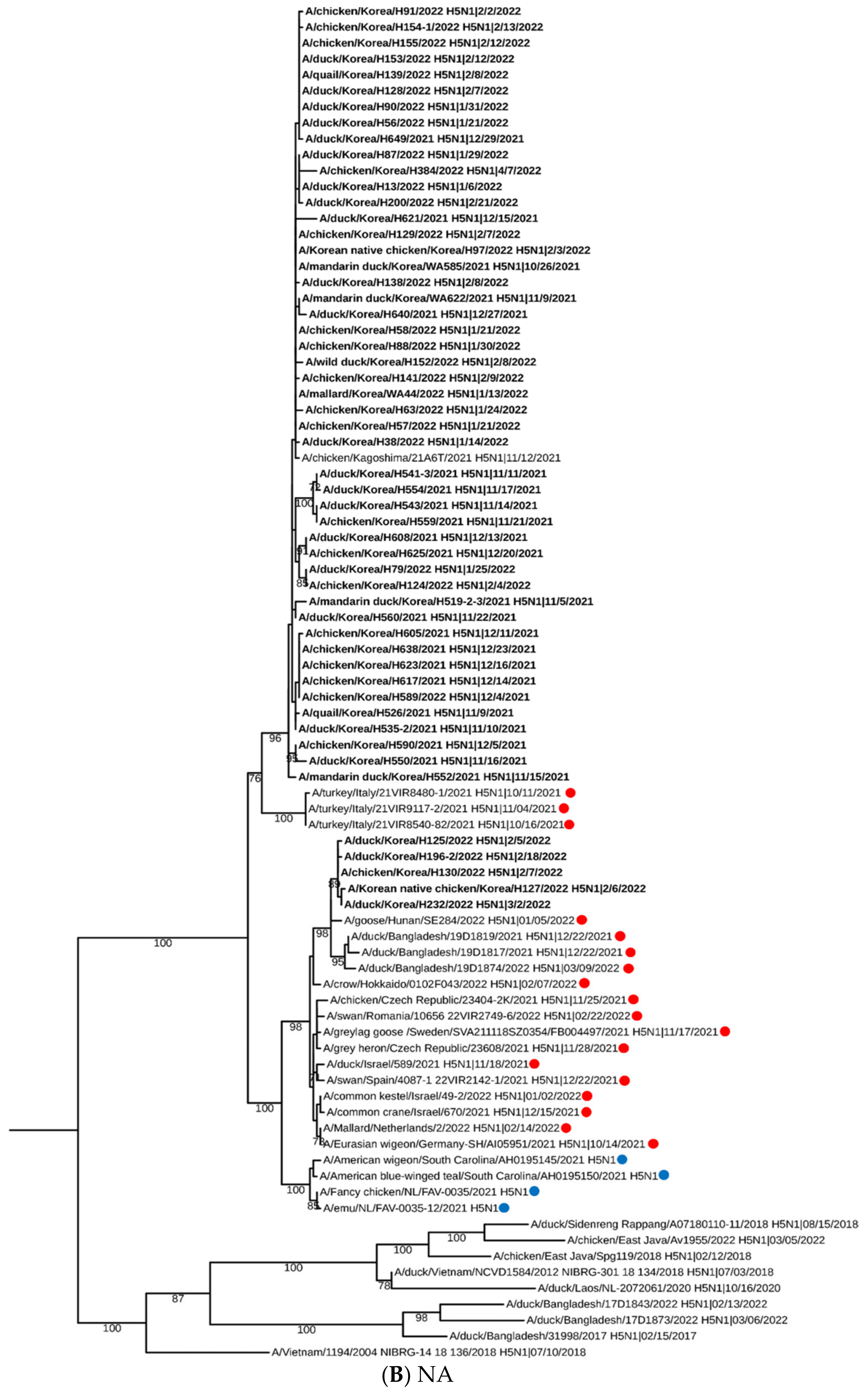 Viruses 15 01403 g001b Viruses 15 01403 g001b