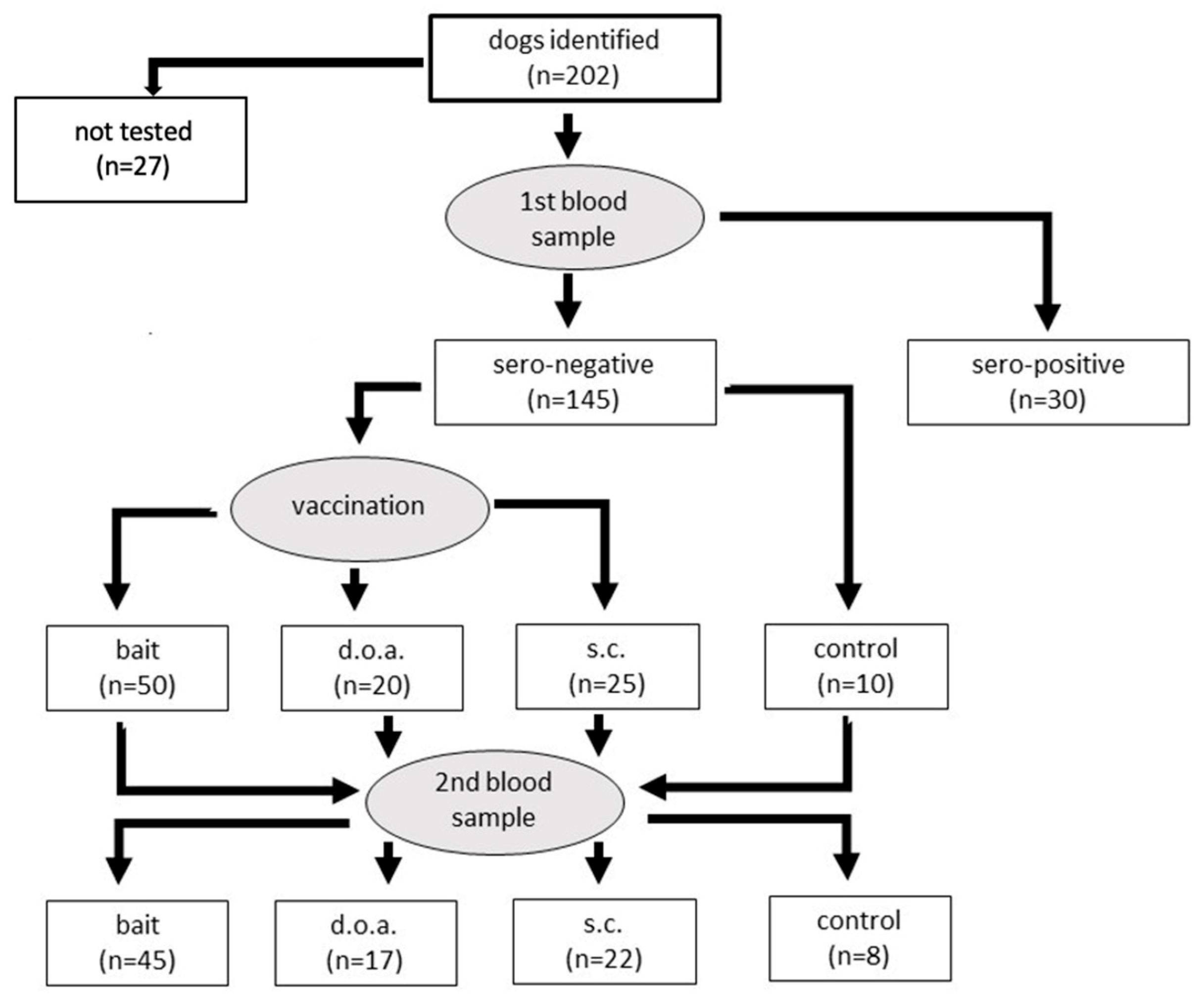 Viruses 15 01405 g002