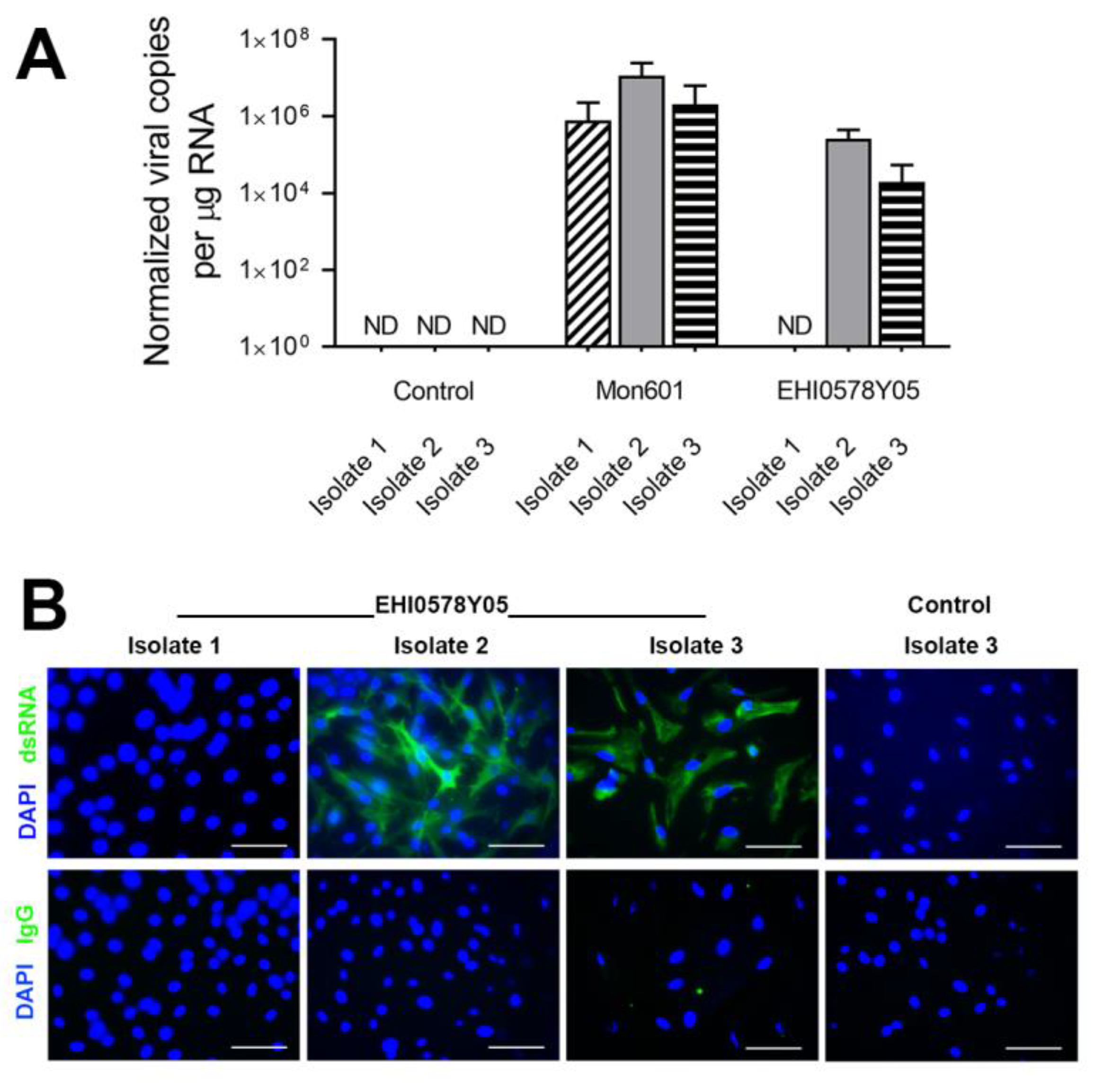 Viruses 15 01410 g006