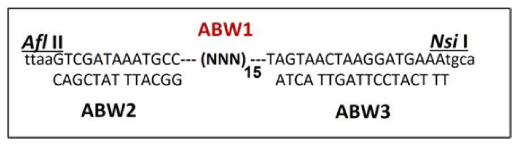 Viruses 15 01414 g001 Viruses 15 01414 g001