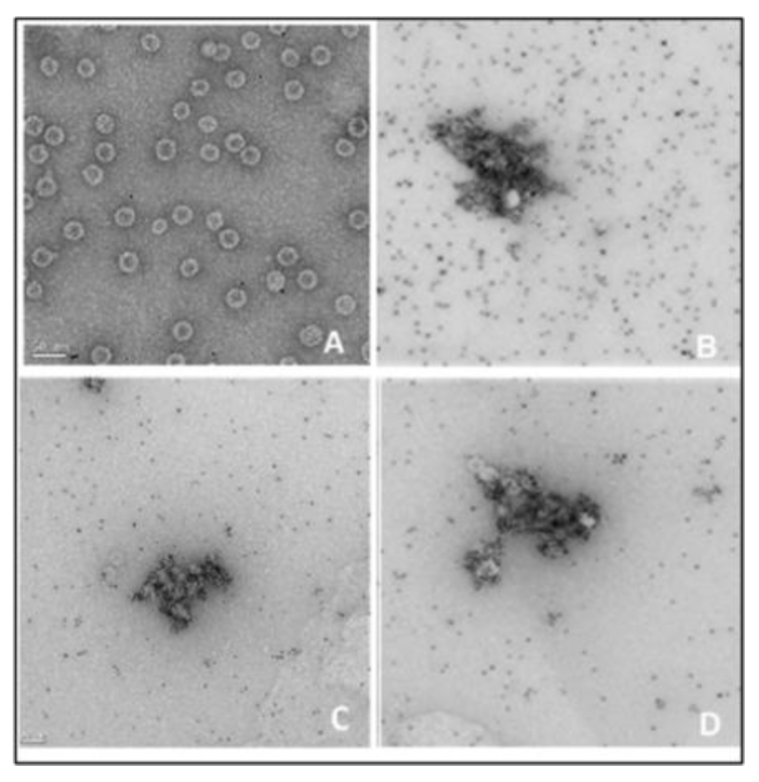 Viruses 15 01414 g008 Viruses 15 01414 g008