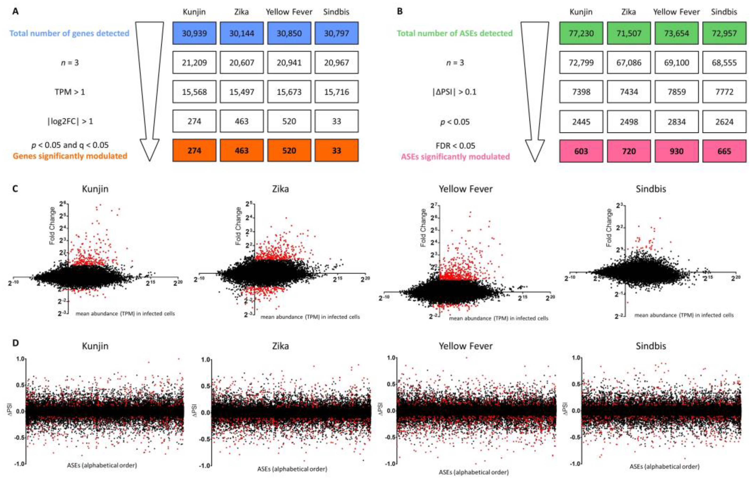 Viruses 15 01419 g002