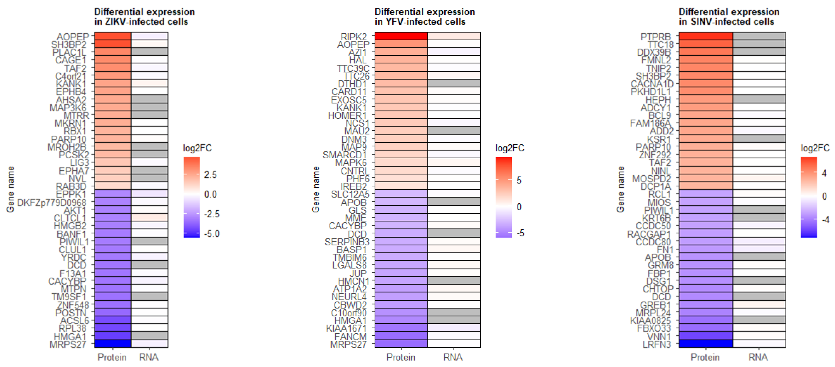 Viruses 15 01419 g008