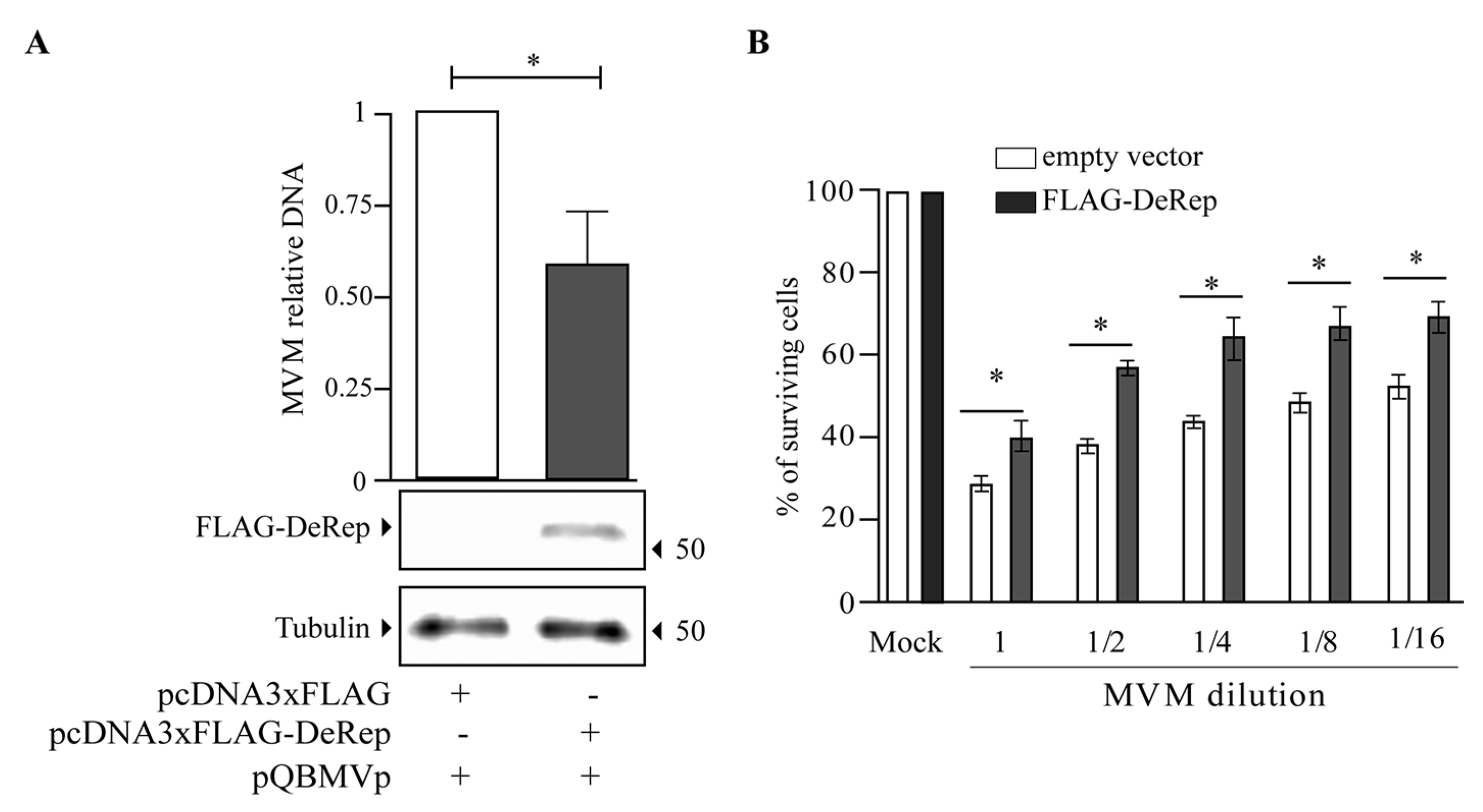 Viruses 15 01420 g003 Viruses 15 01420 g003