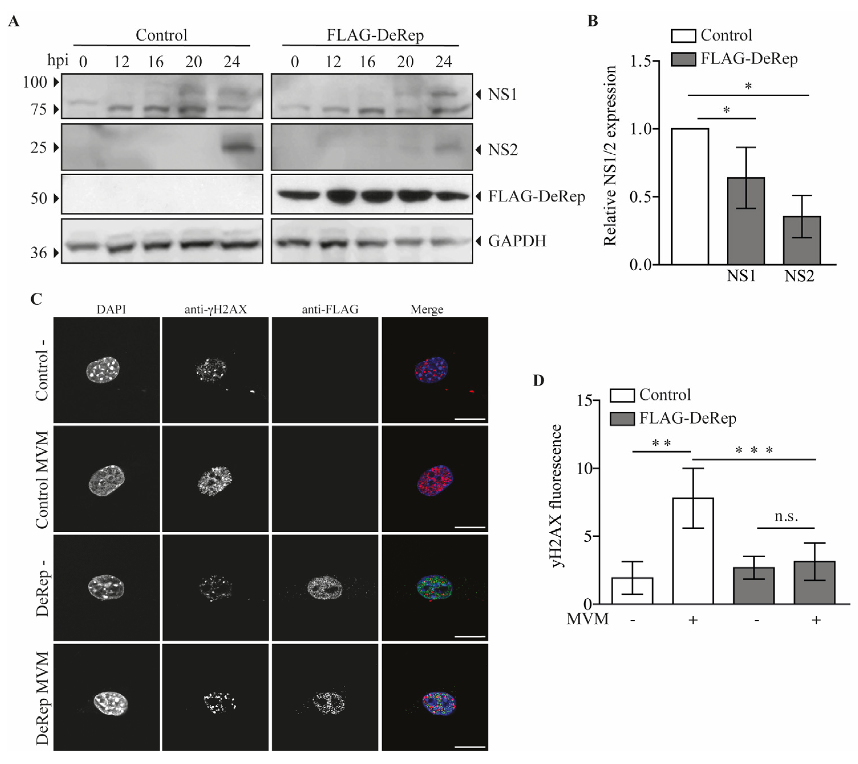 Viruses 15 01420 g005 Viruses 15 01420 g005