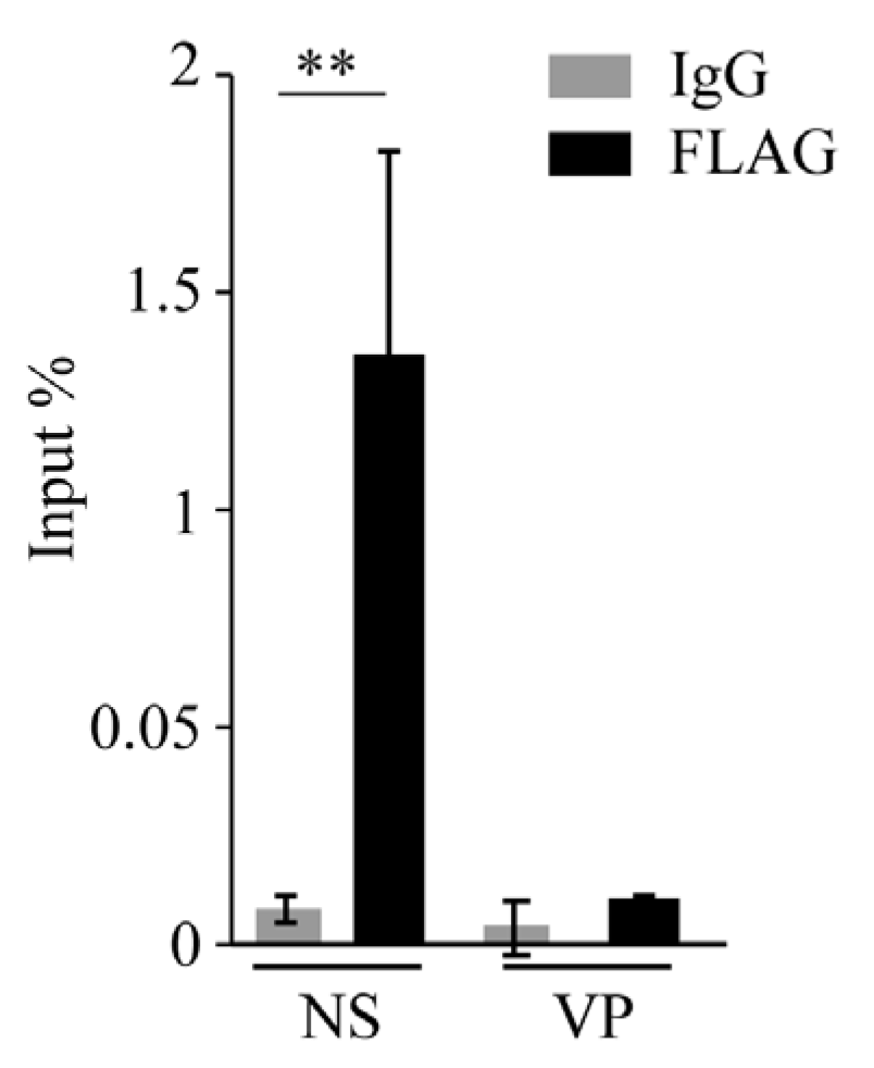 Viruses 15 01420 g006 Viruses 15 01420 g006