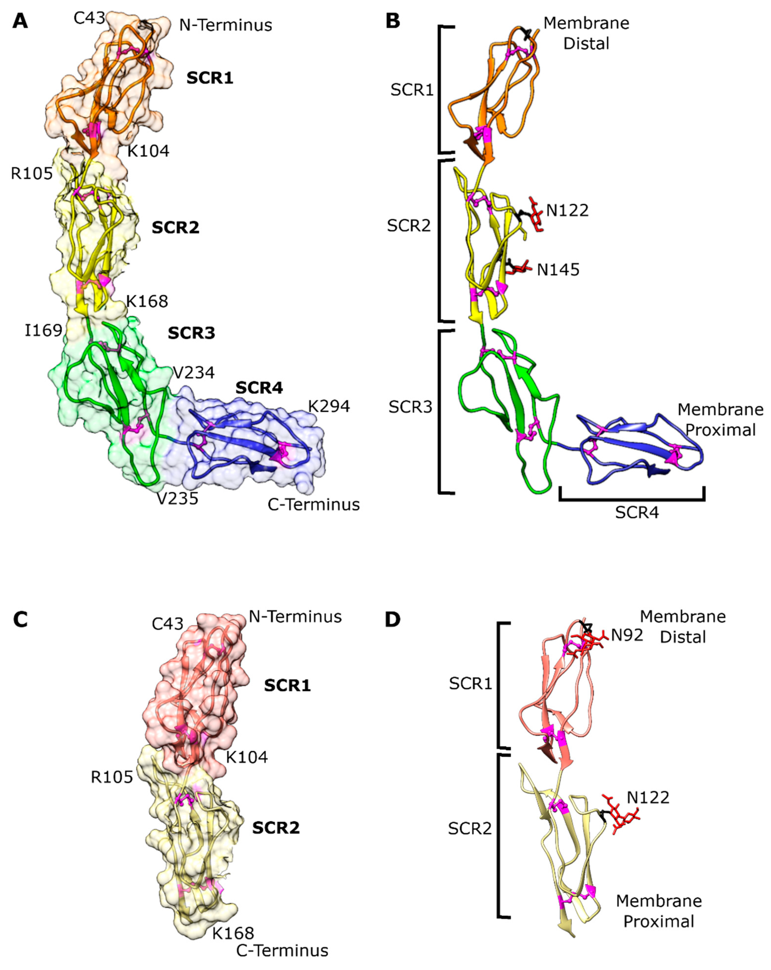 Viruses 15 01424 g002