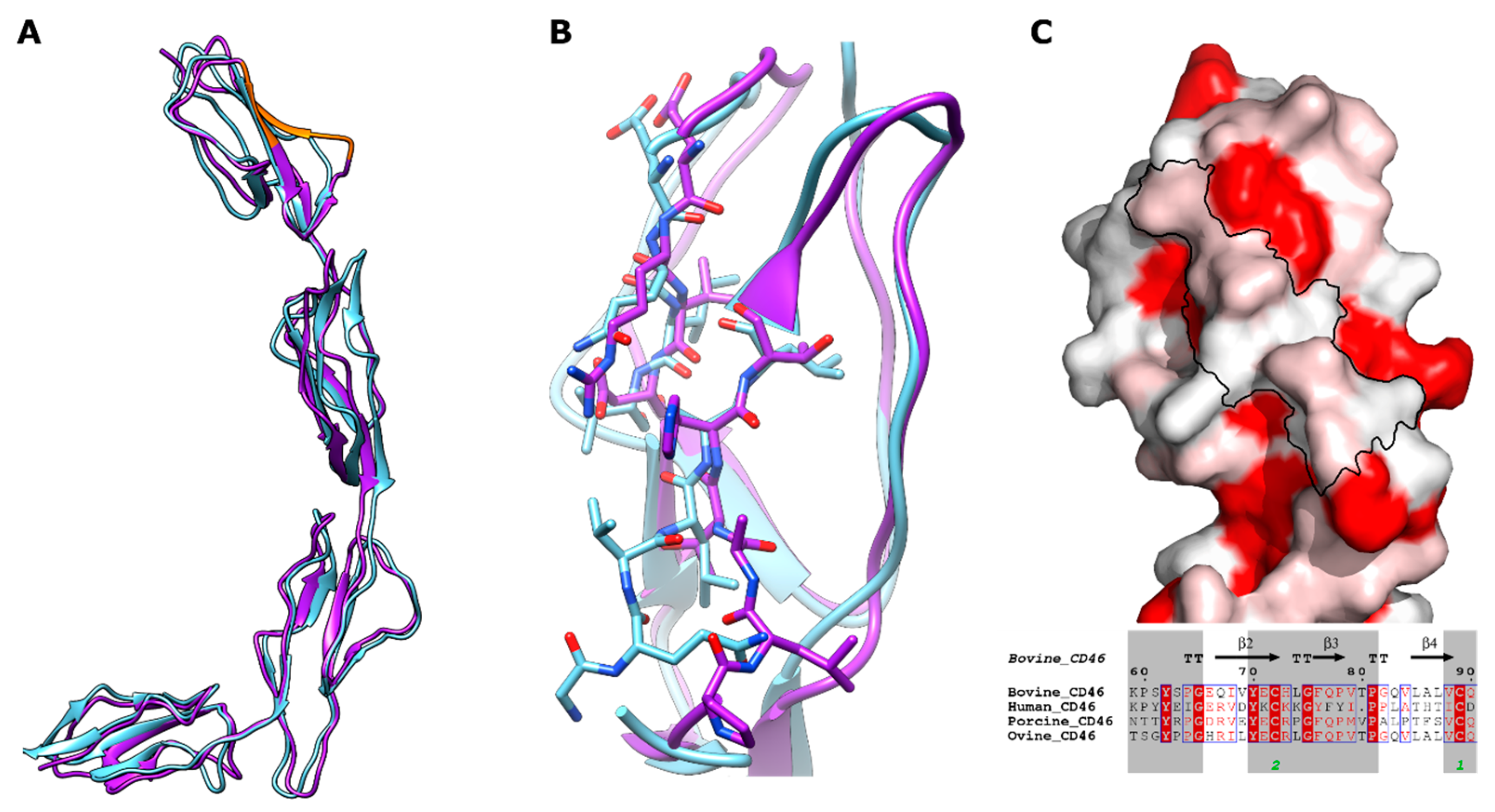 Viruses 15 01424 g004