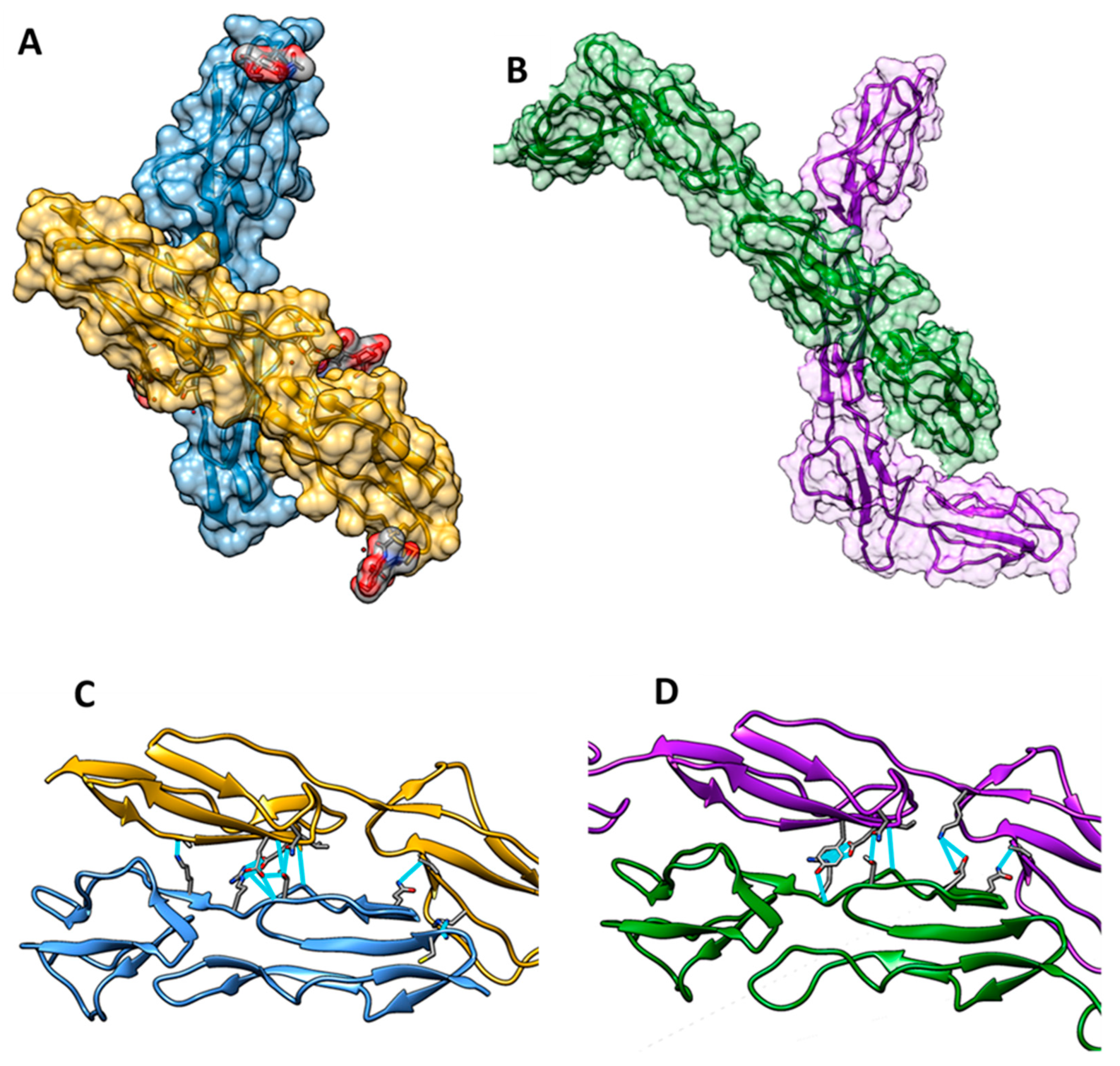 Viruses 15 01424 g005
