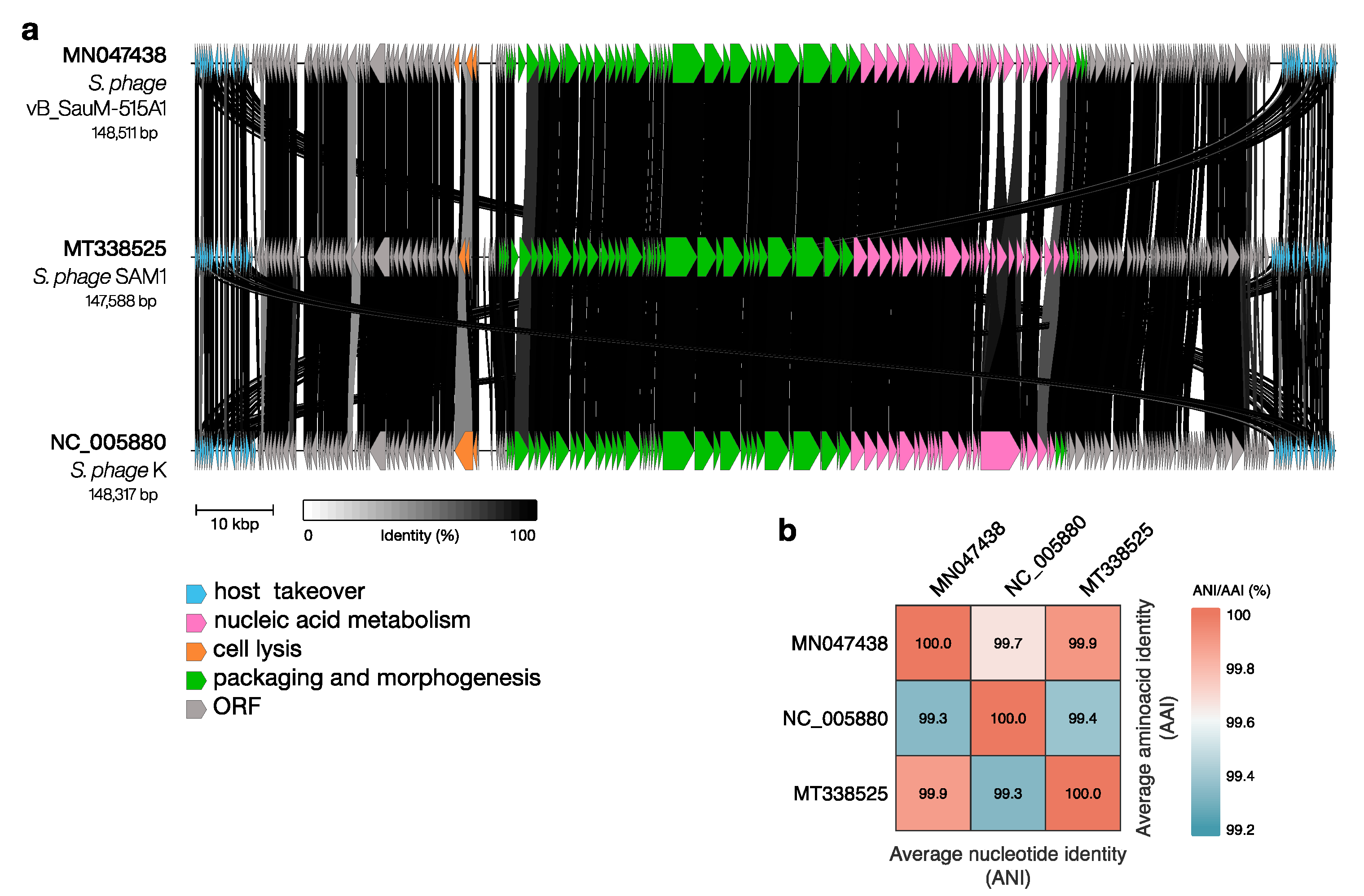 Viruses 15 01427 g002 Viruses 15 01427 g002