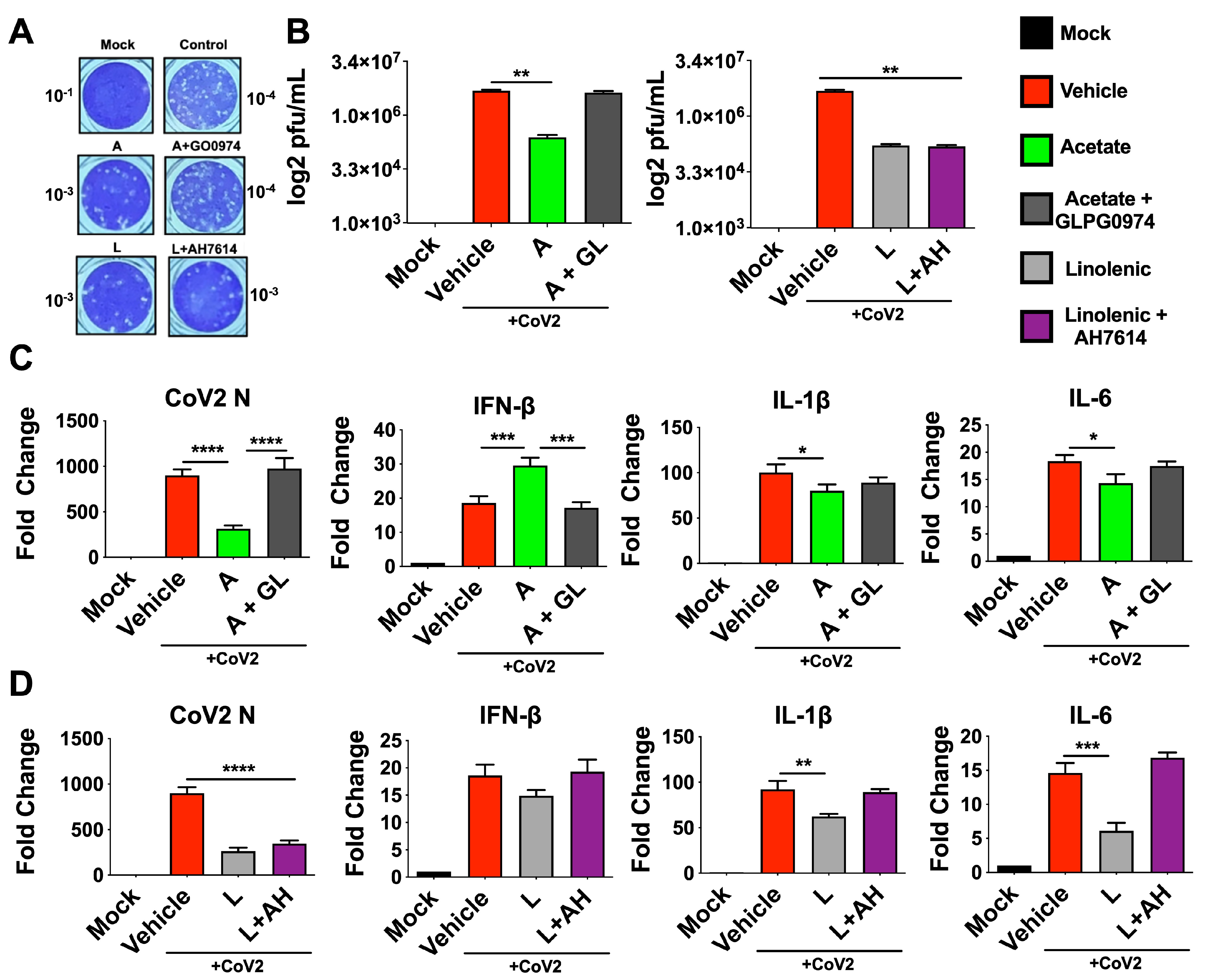 Viruses 15 01429 g002 Viruses 15 01429 g002