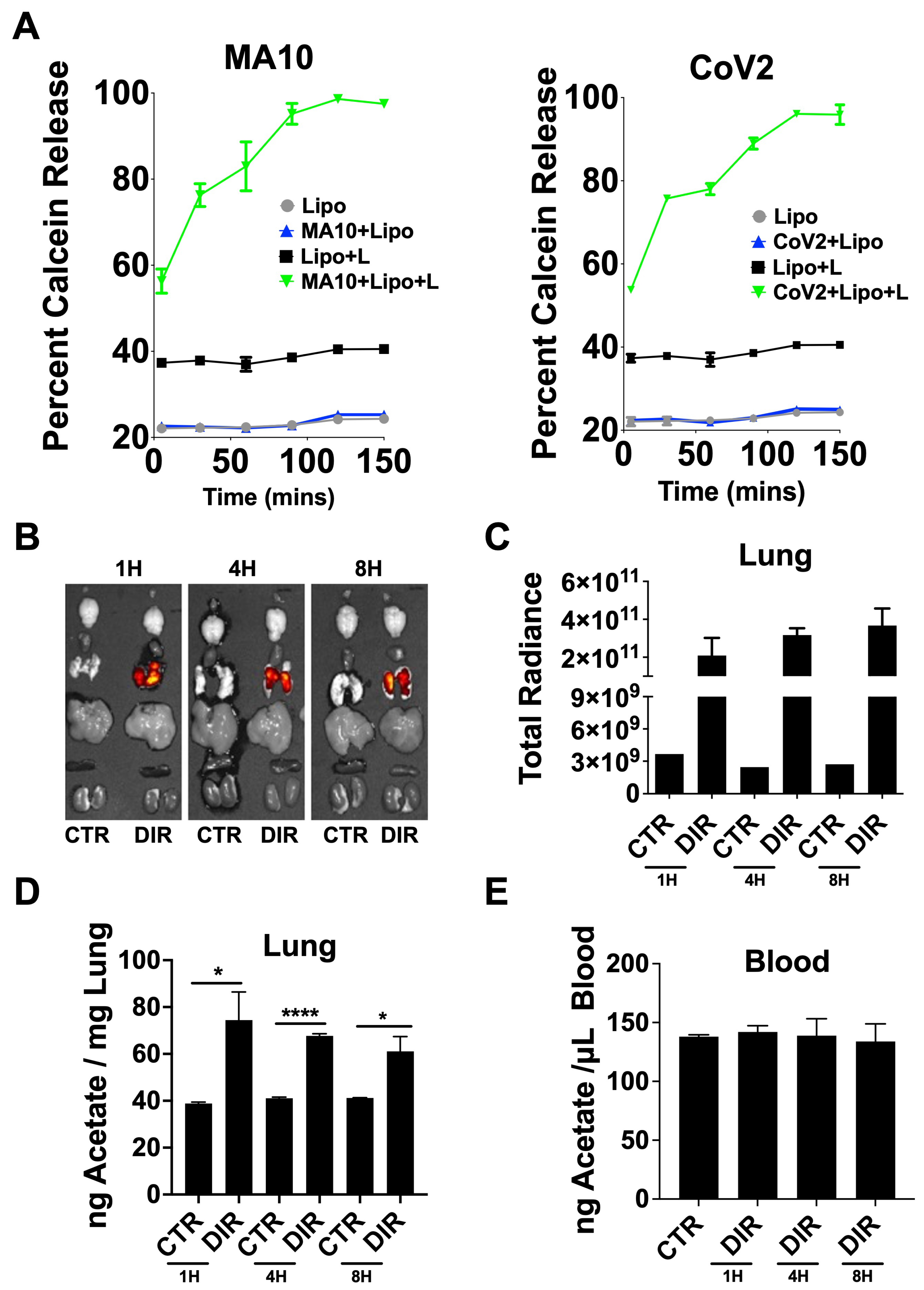 Viruses 15 01429 g004 Viruses 15 01429 g004