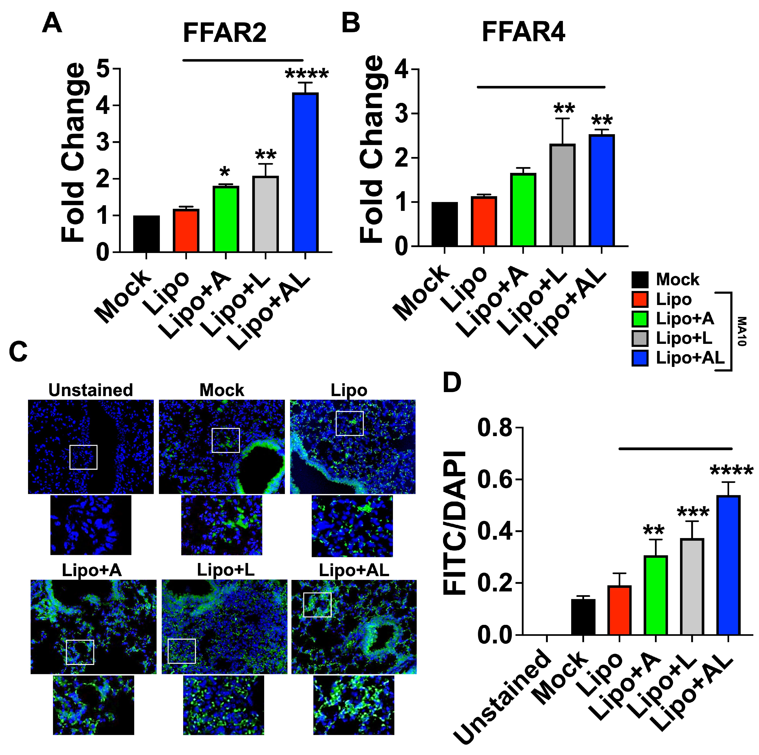 Viruses 15 01429 g006 Viruses 15 01429 g006