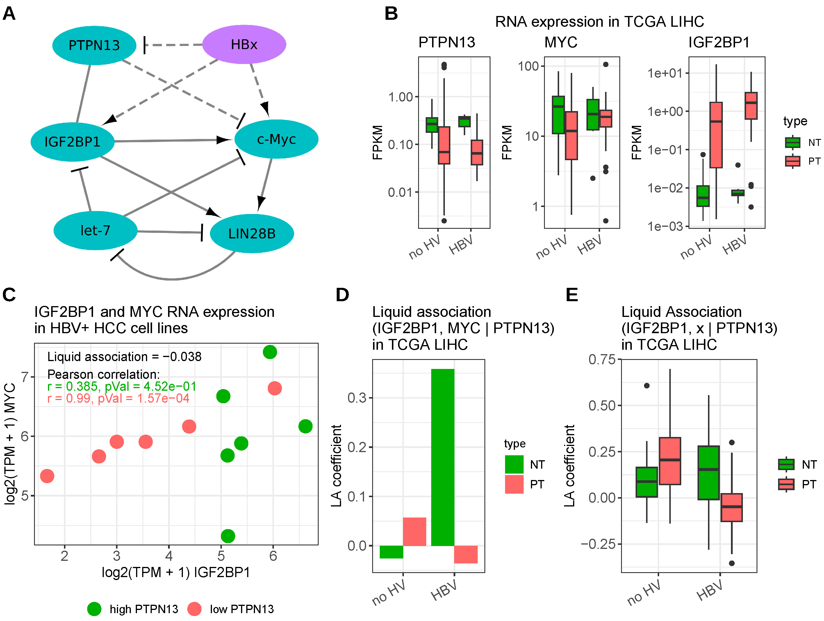 Viruses 15 01431 g001 Viruses 15 01431 g001