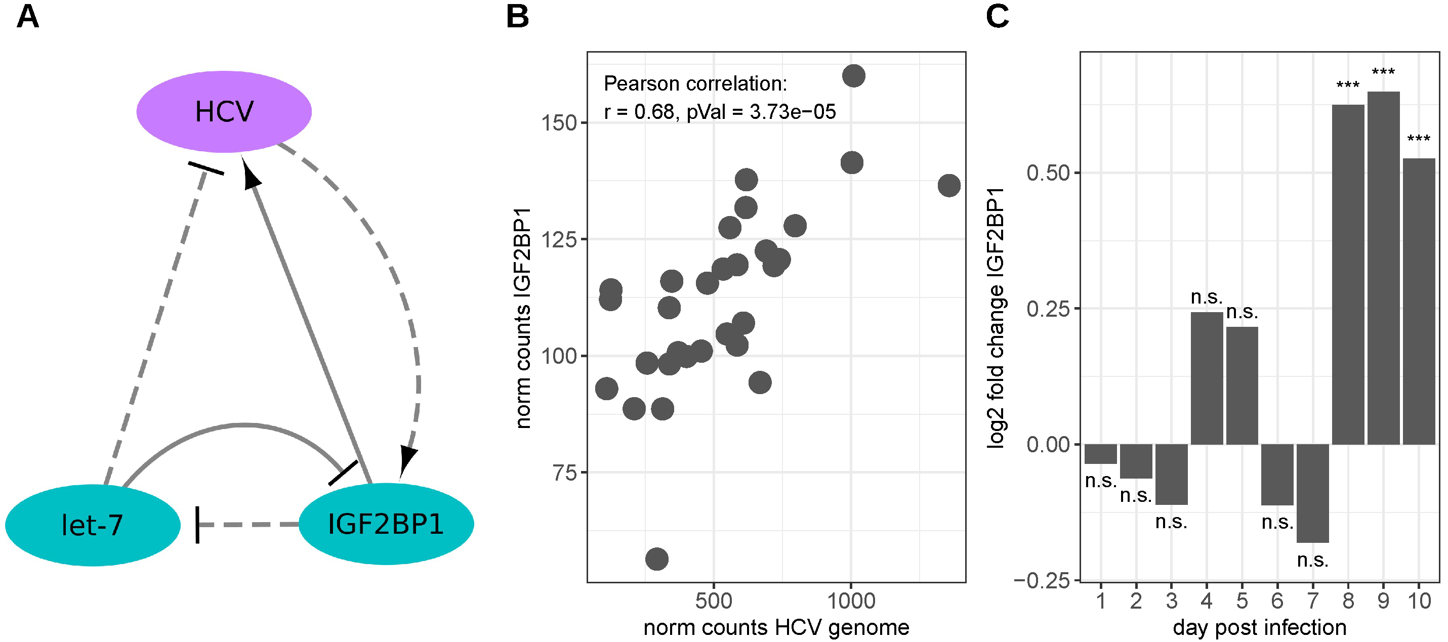 Viruses 15 01431 g002 Viruses 15 01431 g002