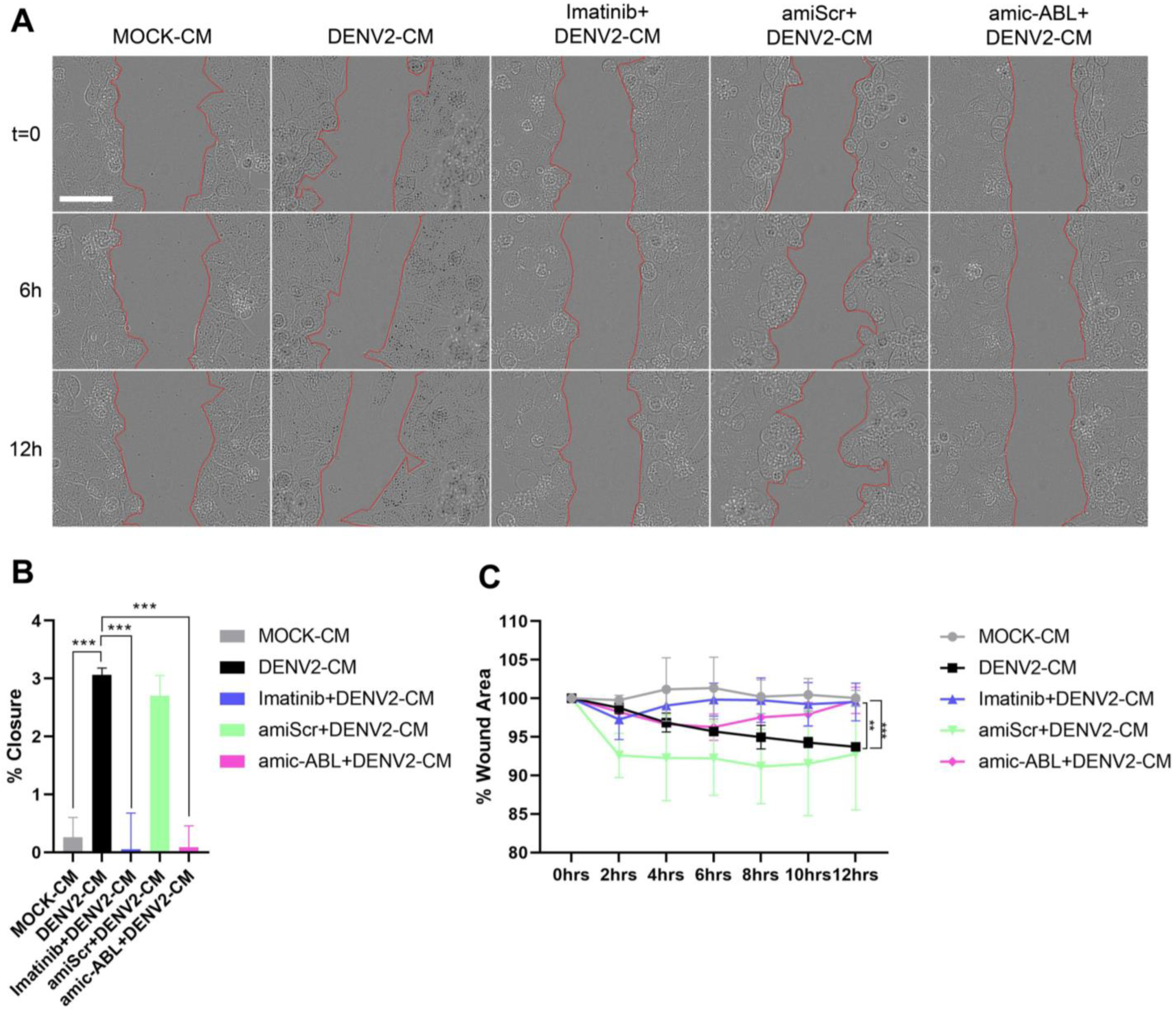 Viruses 15 01437 g007 Viruses 15 01437 g007