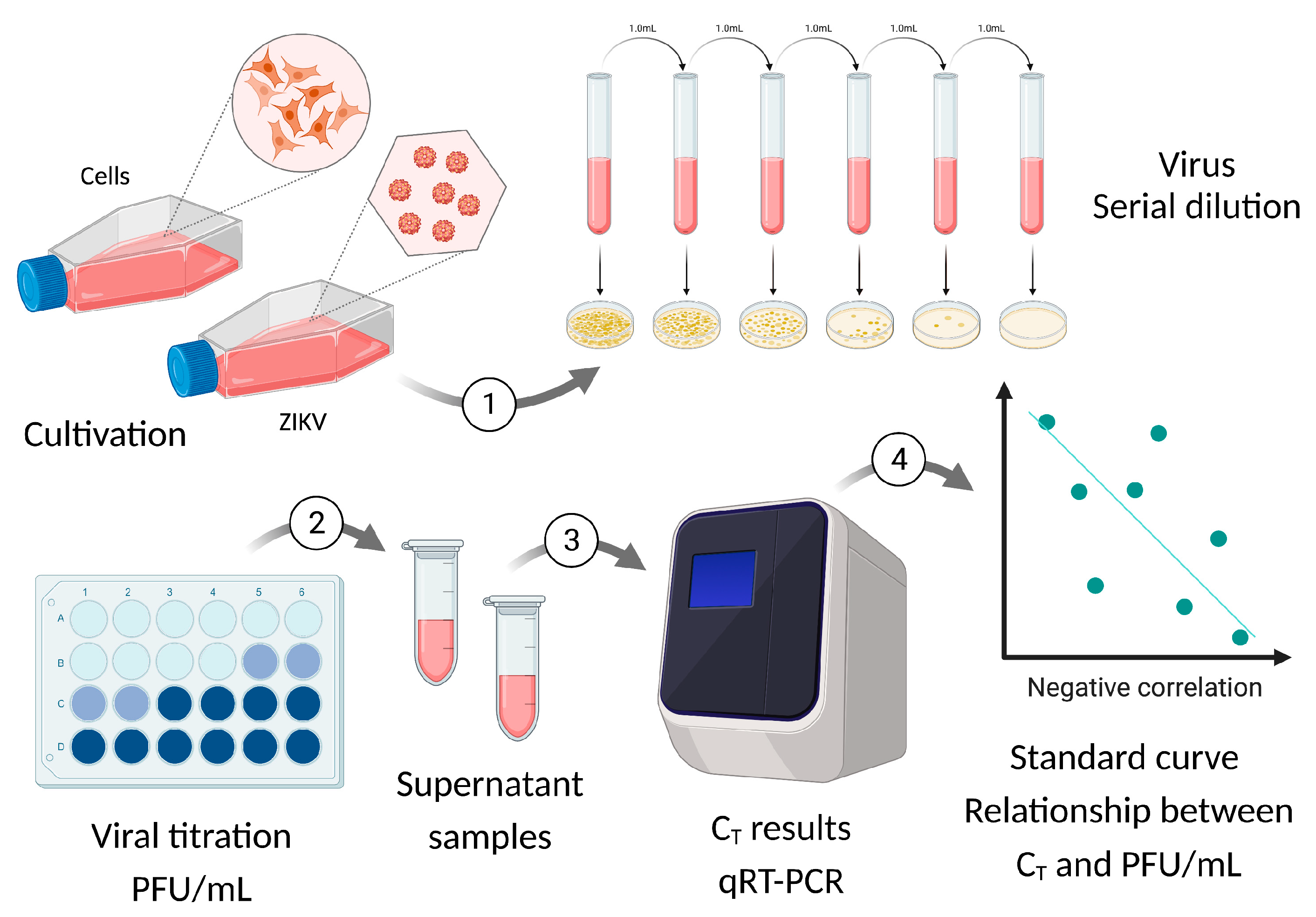 Viruses 15 01446 g0a1 Viruses 15 01446 g0a1
