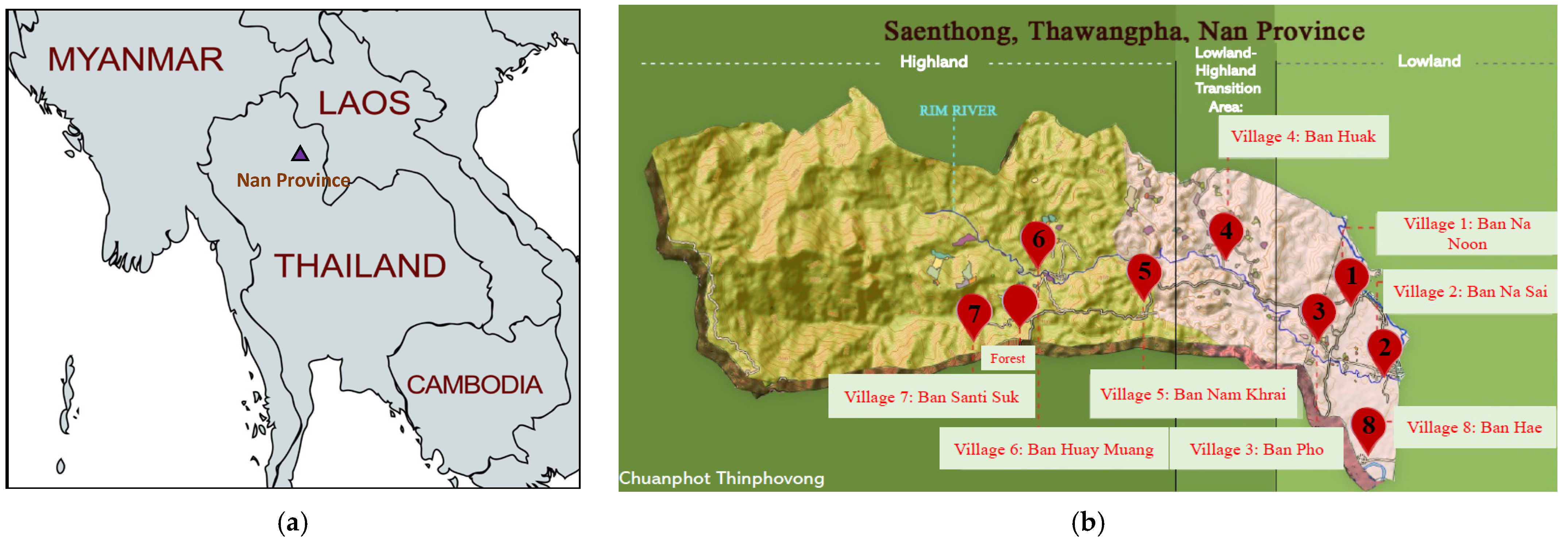 Viruses 15 01447 g001 Viruses 15 01447 g001