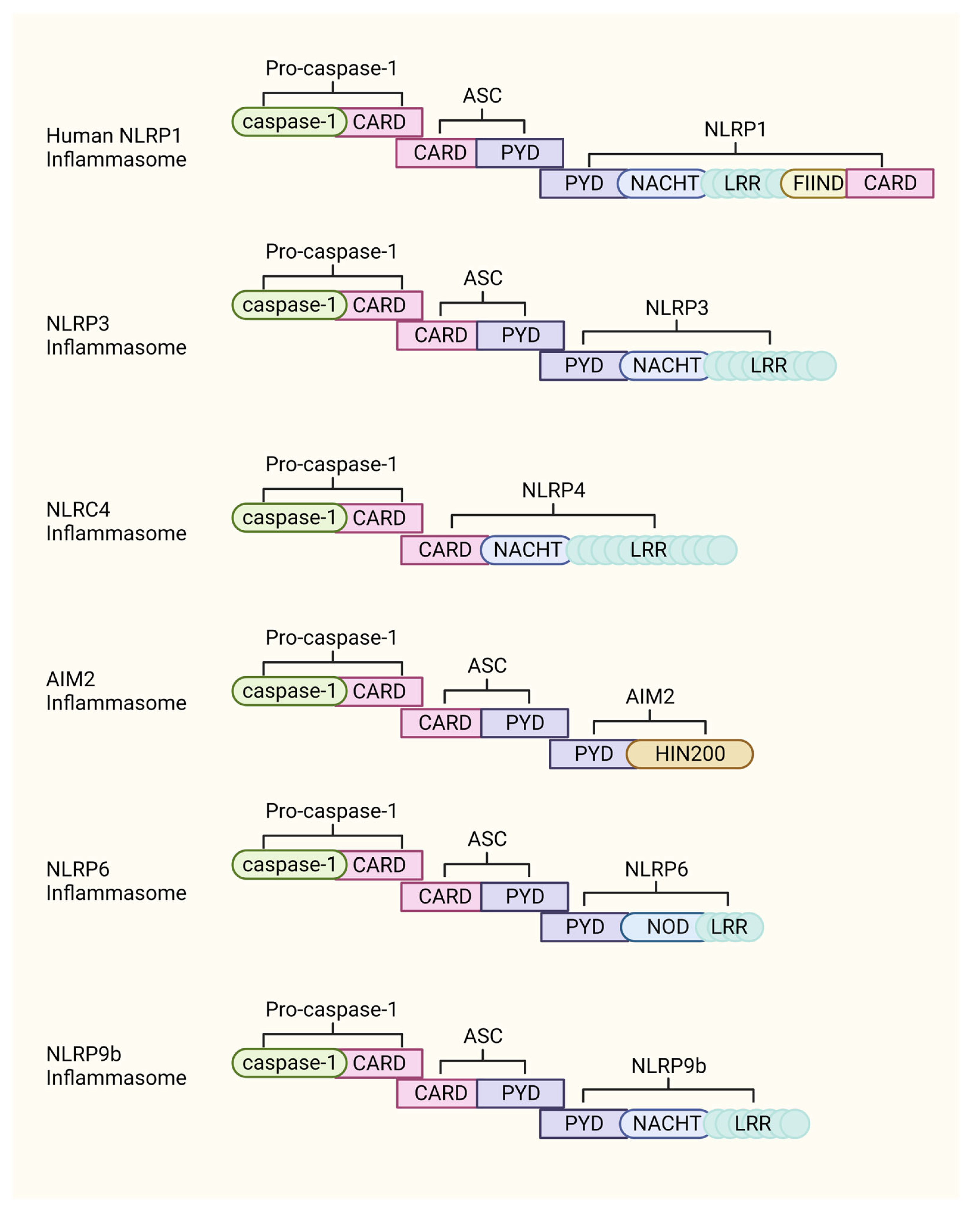 Viruses 15 01451 g002