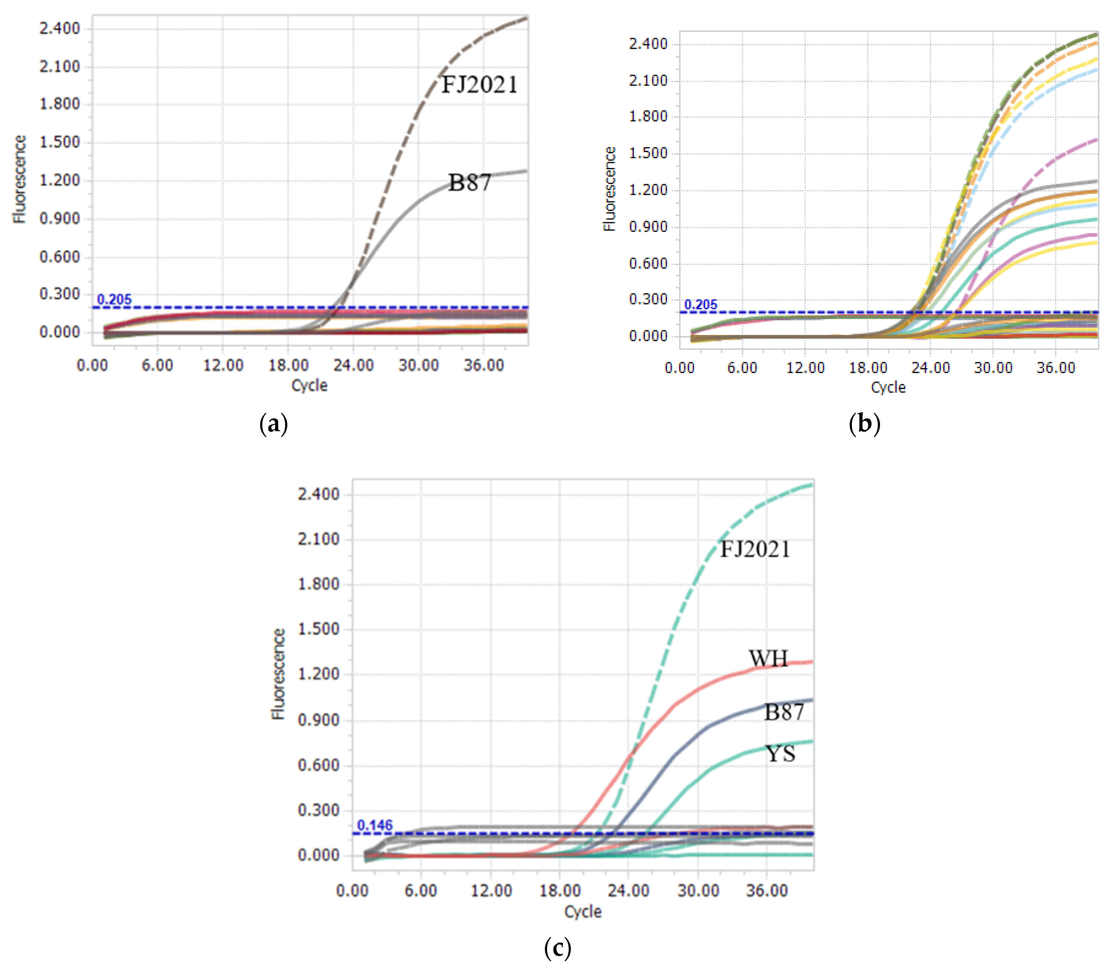 Viruses 15 01453 g003