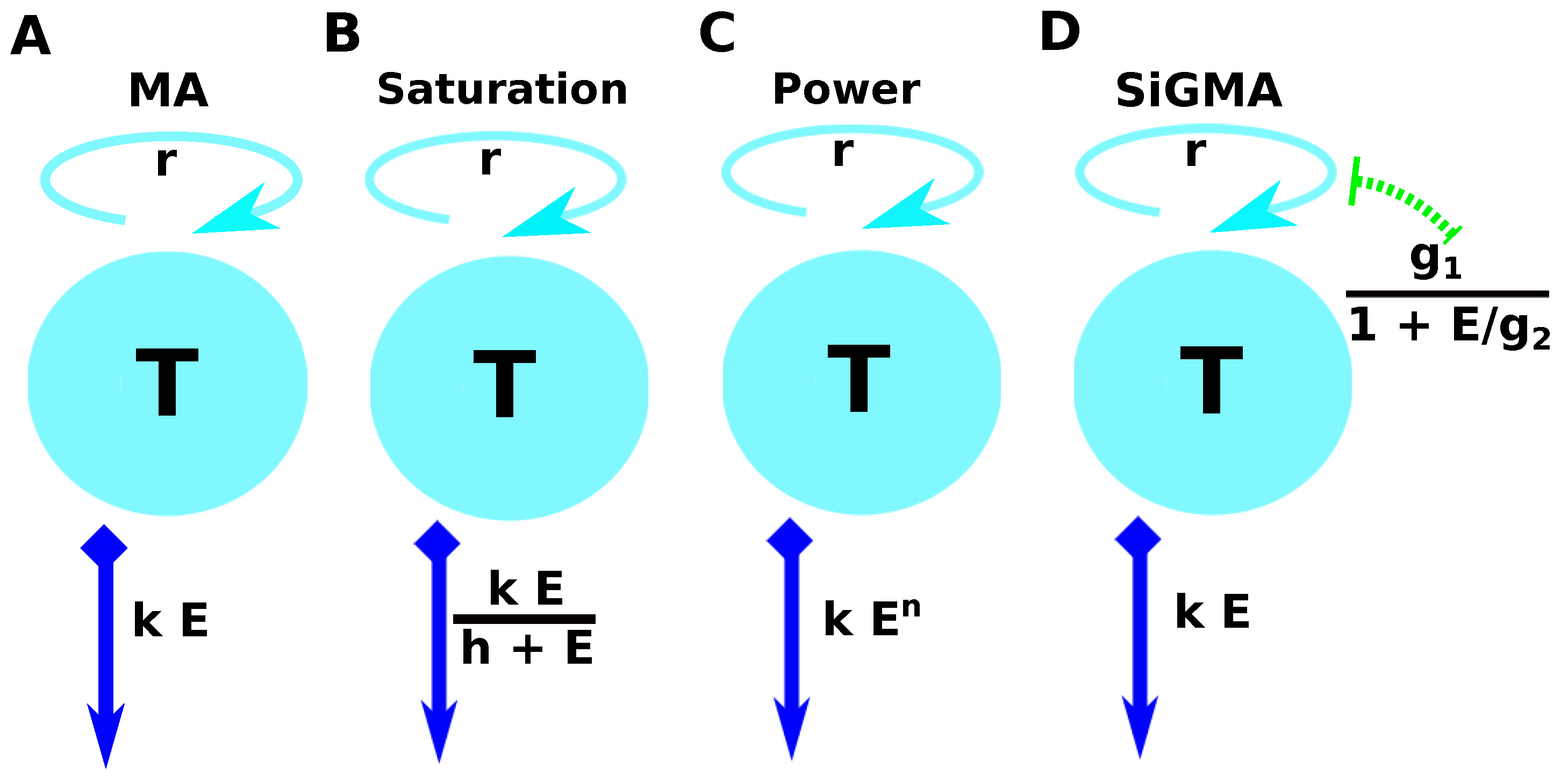Viruses 15 01454 g001