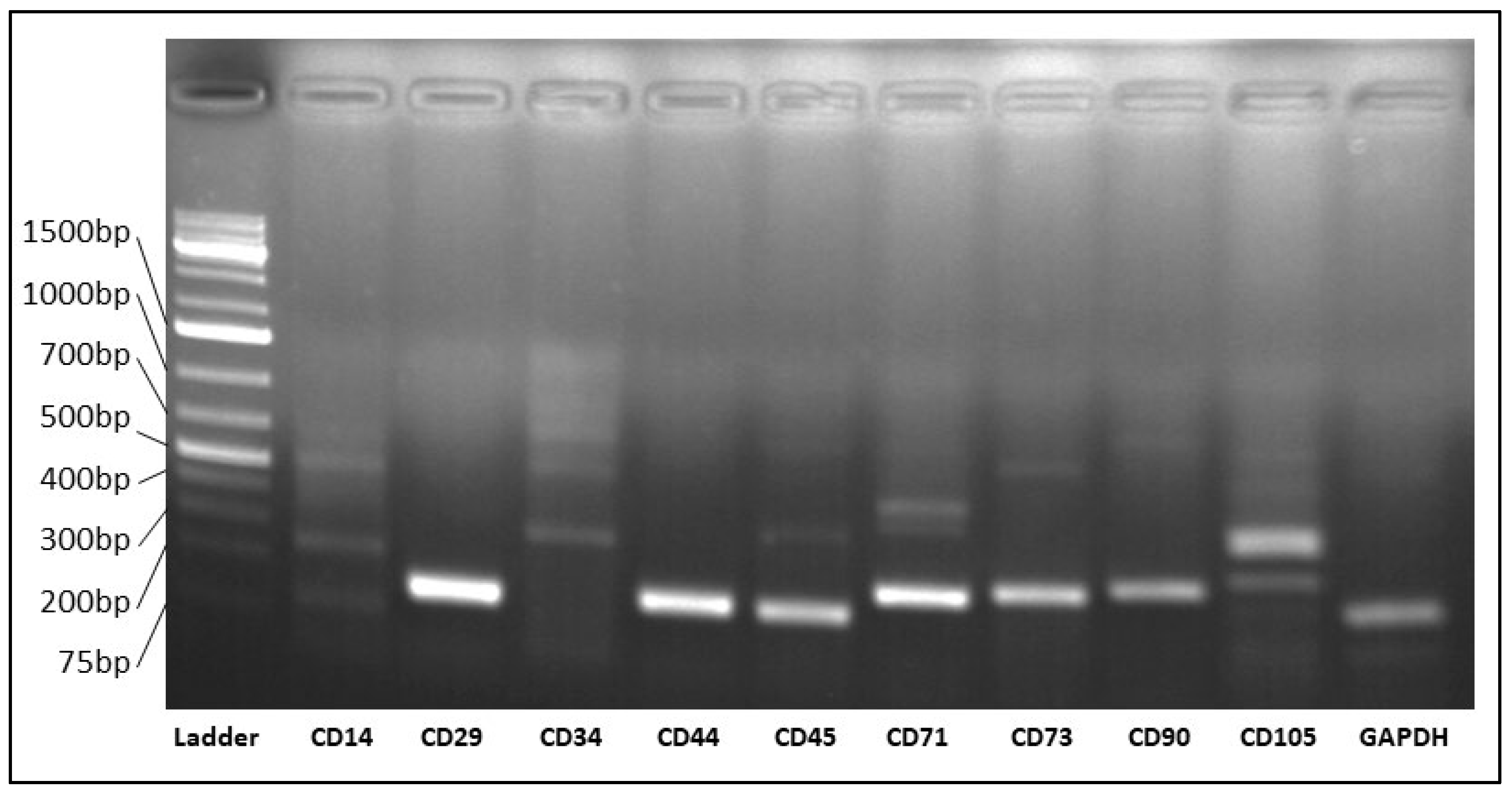 Viruses 15 01455 g002 Viruses 15 01455 g002