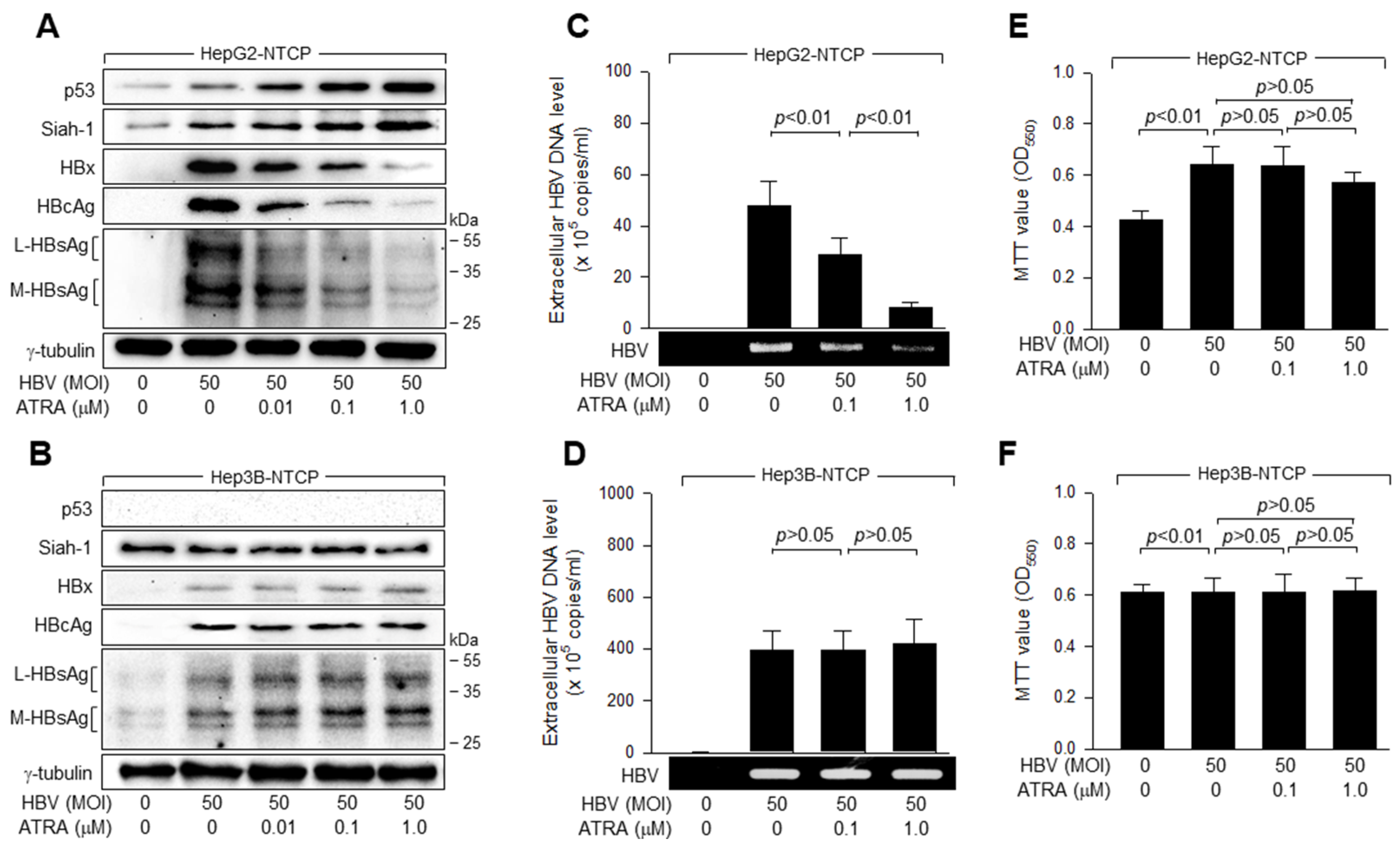 Viruses 15 01456 g001