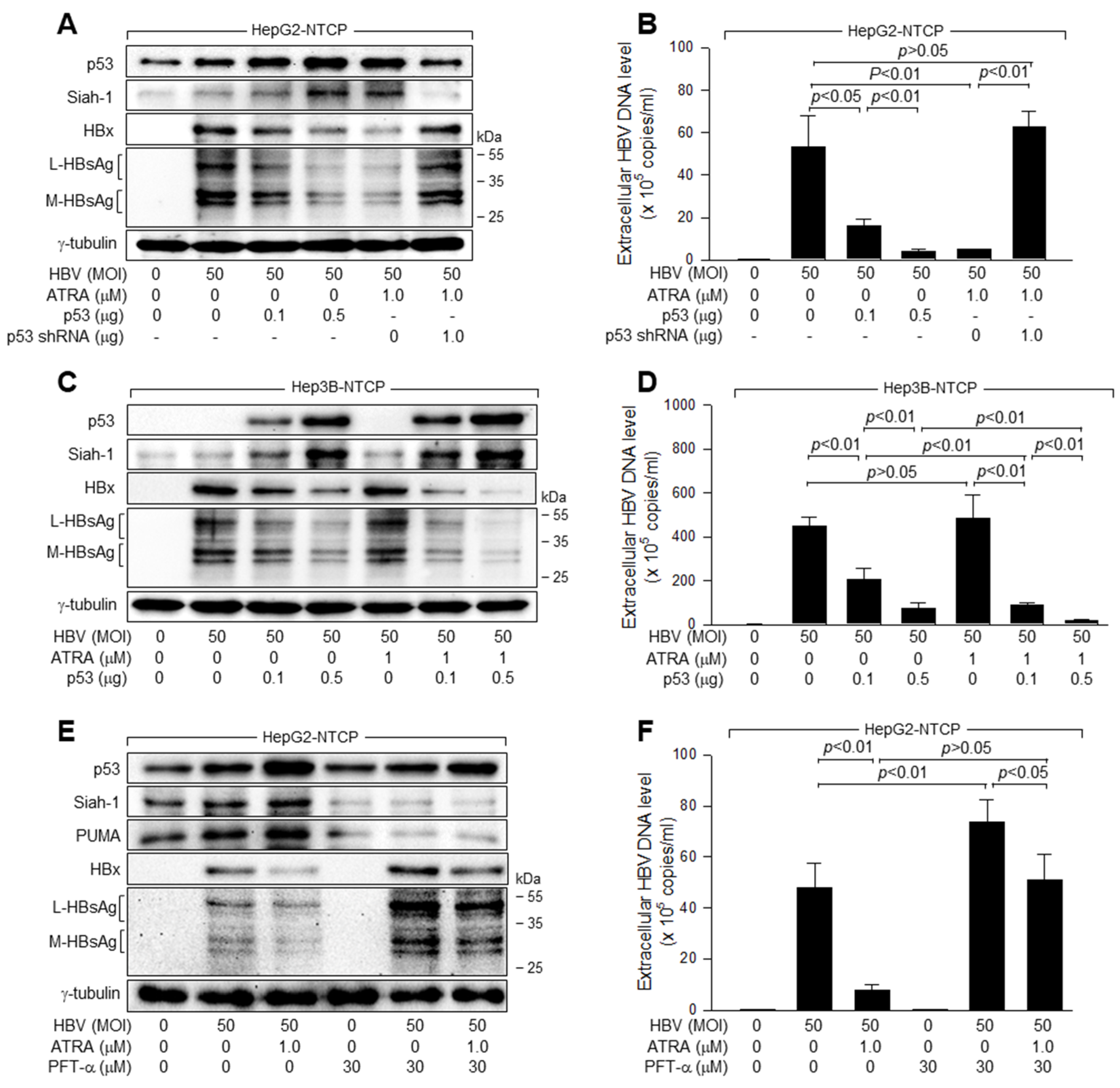 Viruses 15 01456 g002