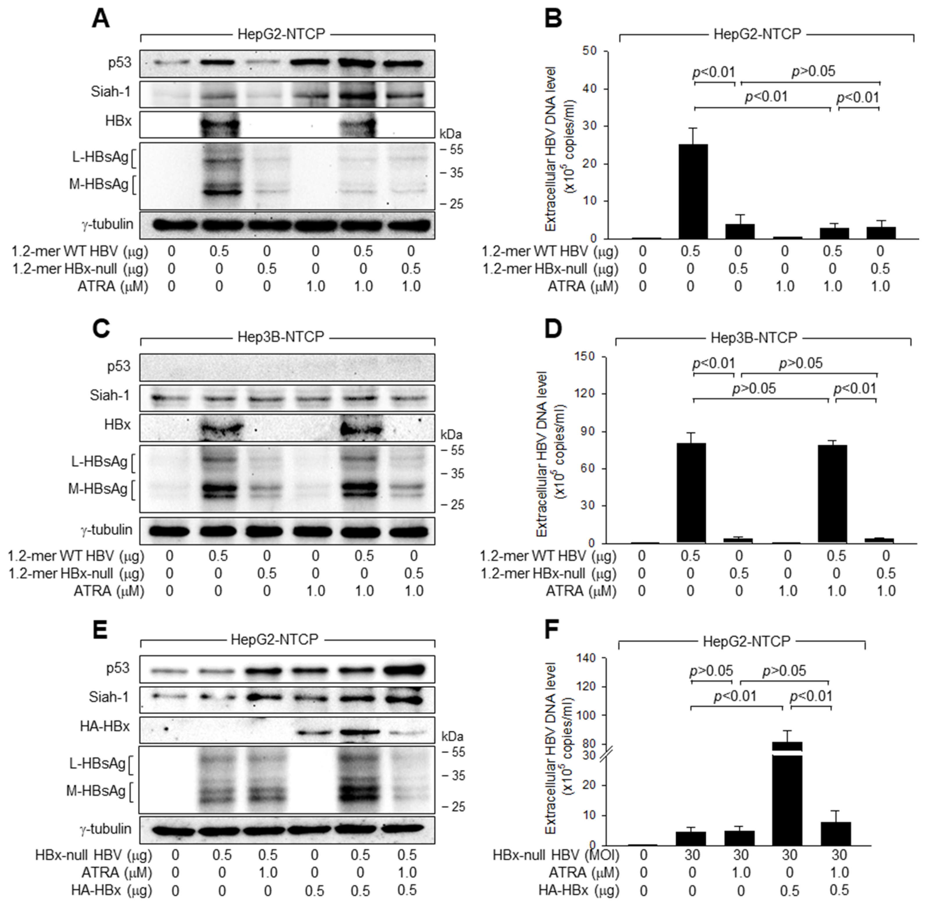 Viruses 15 01456 g003