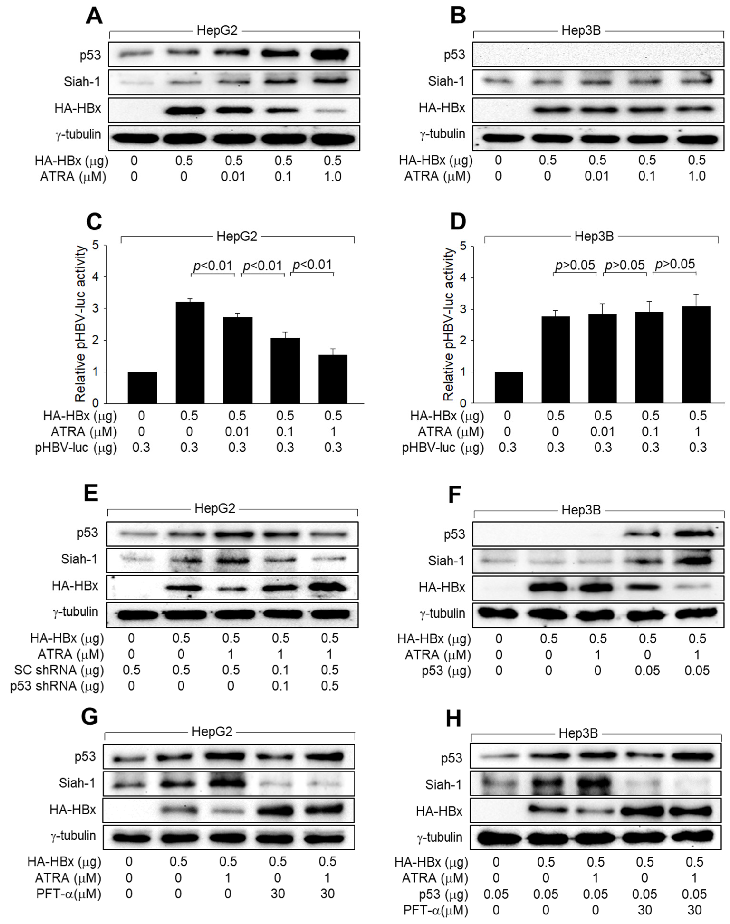 Viruses 15 01456 g004