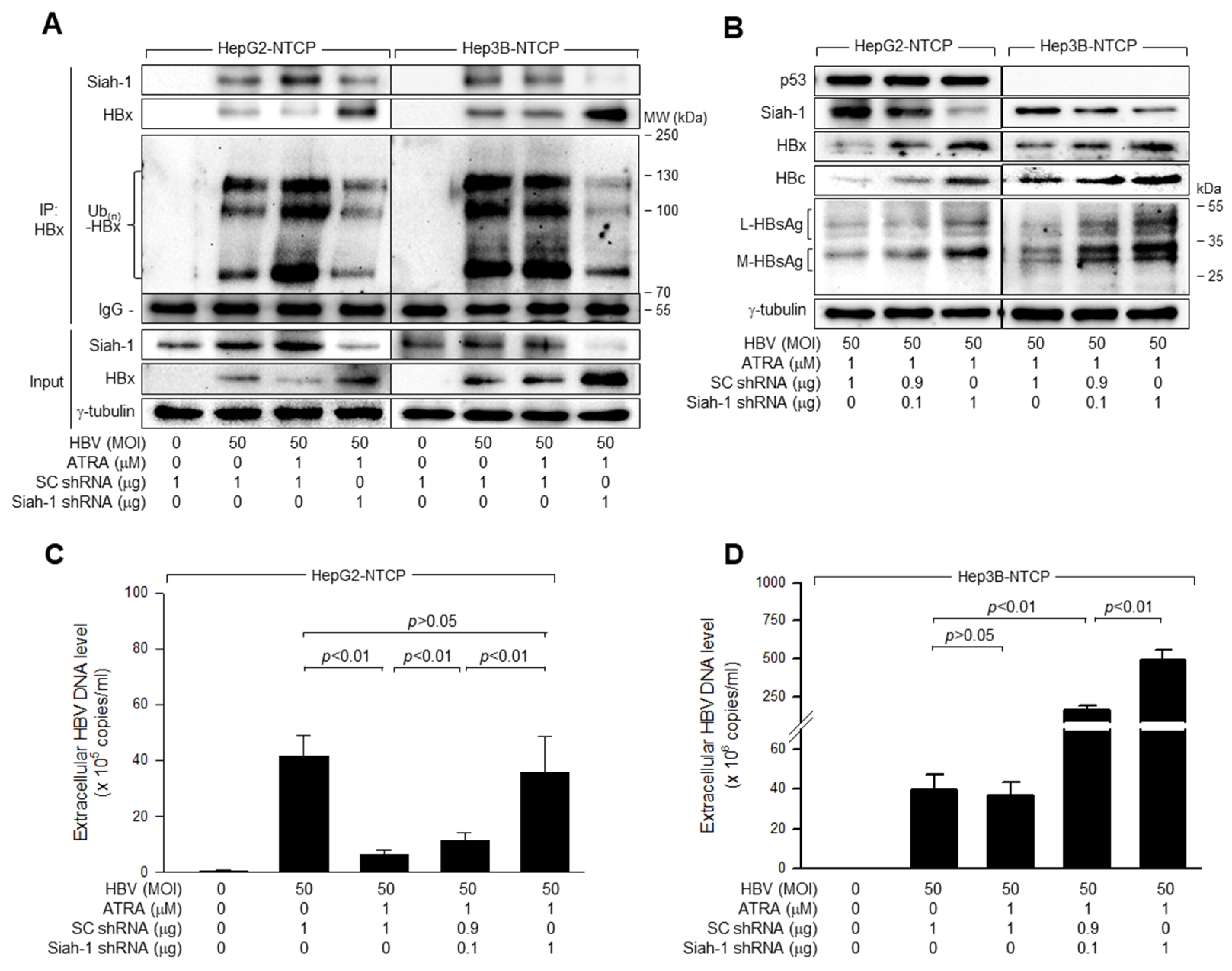 Viruses 15 01456 g007