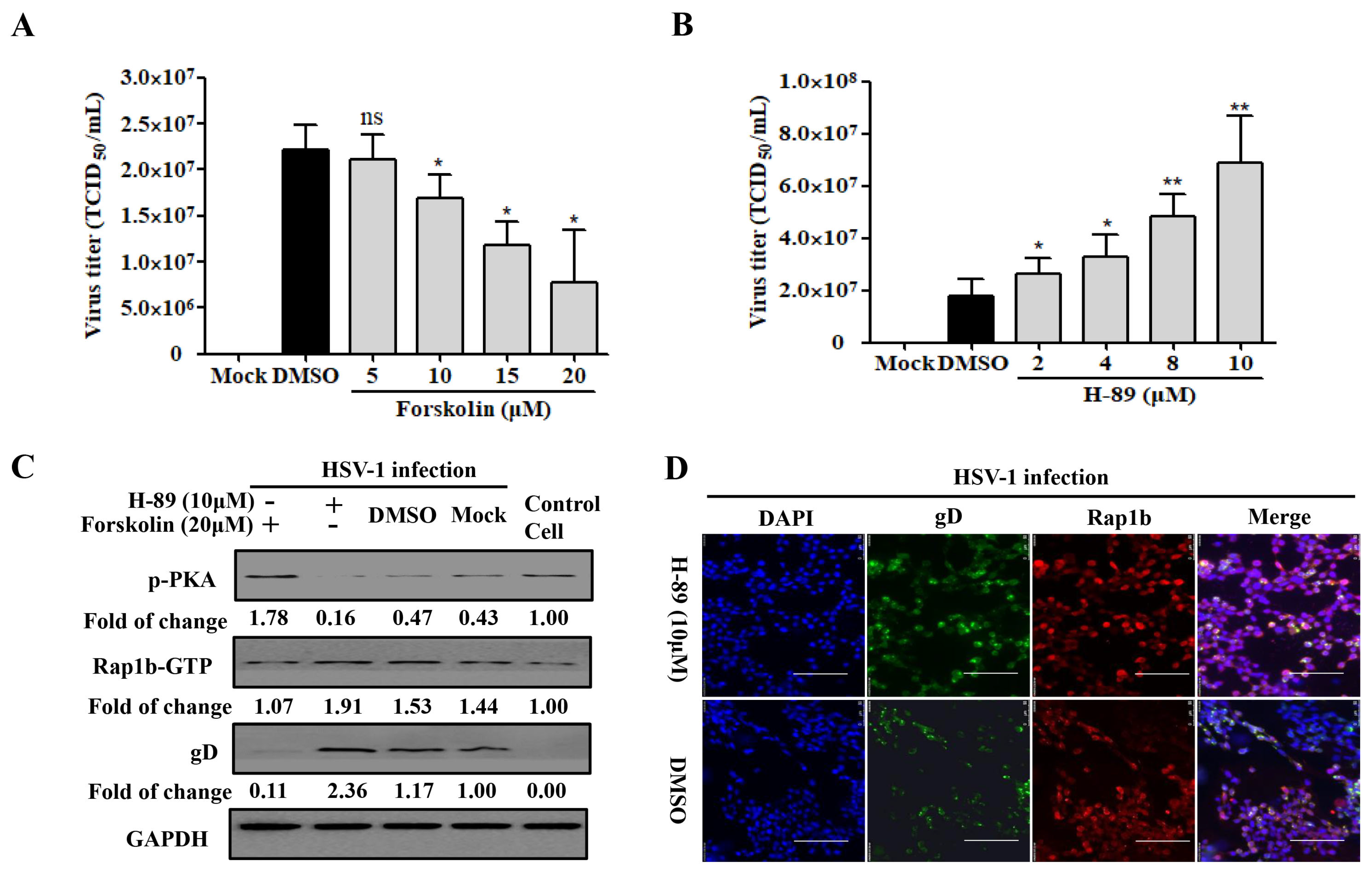 Viruses 15 01457 g003 Viruses 15 01457 g003