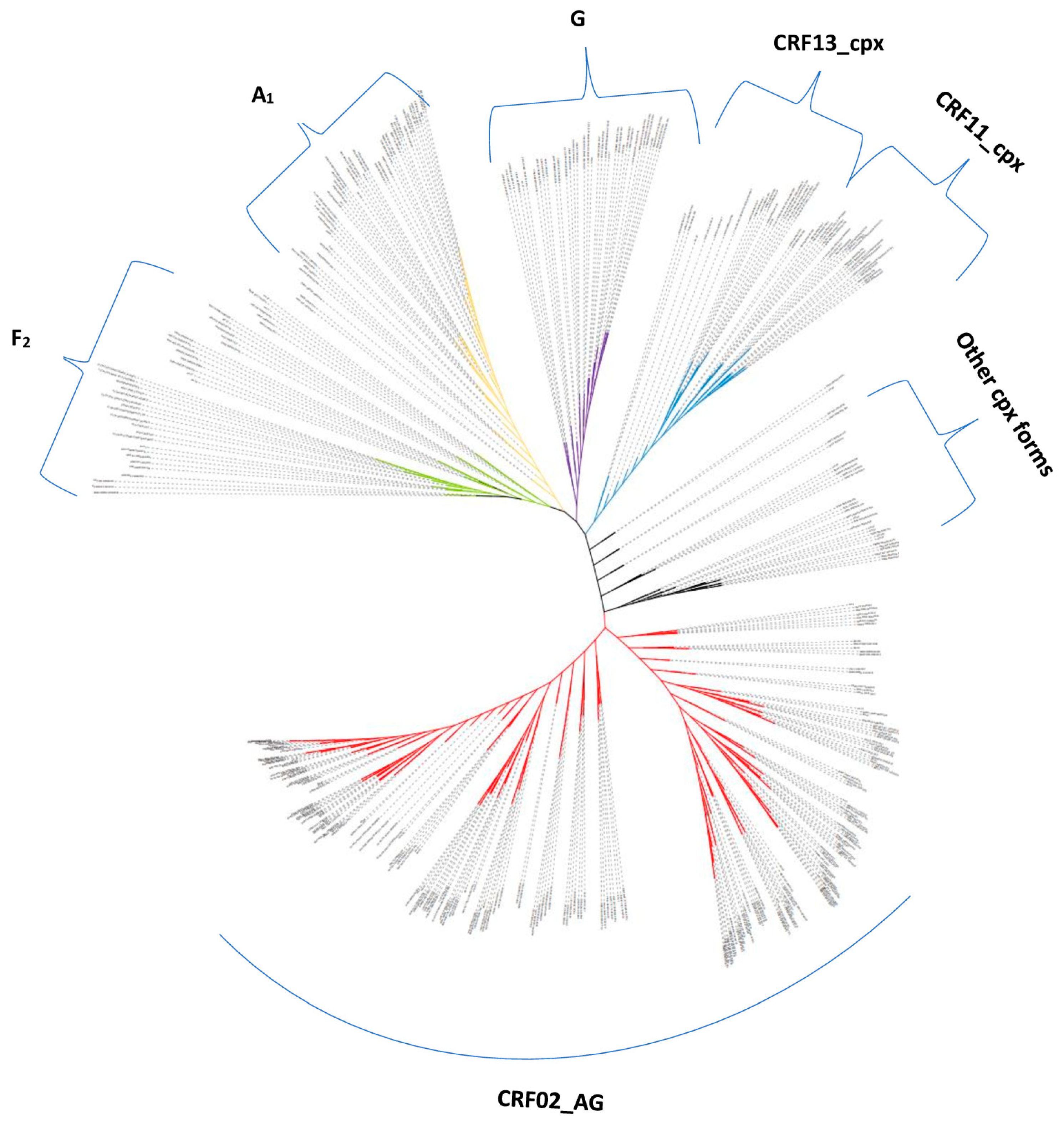 Viruses 15 01458 g001