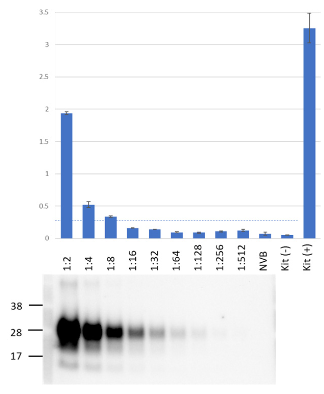 Viruses 15 01466 g001 Viruses 15 01466 g001