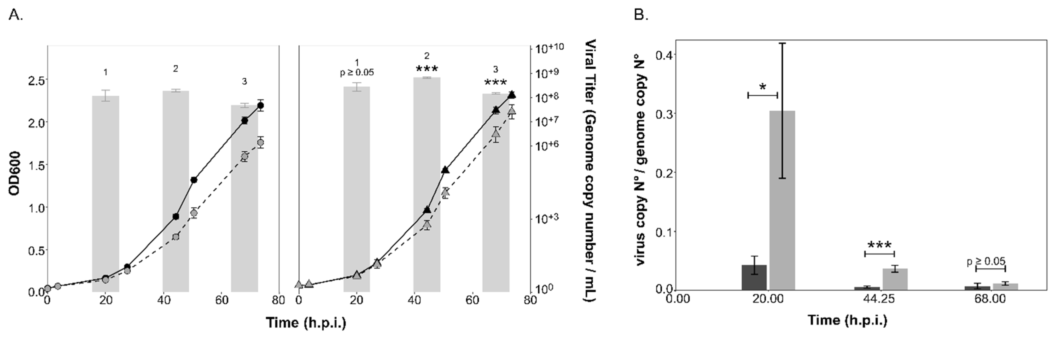 Viruses 15 01469 g004 Viruses 15 01469 g004