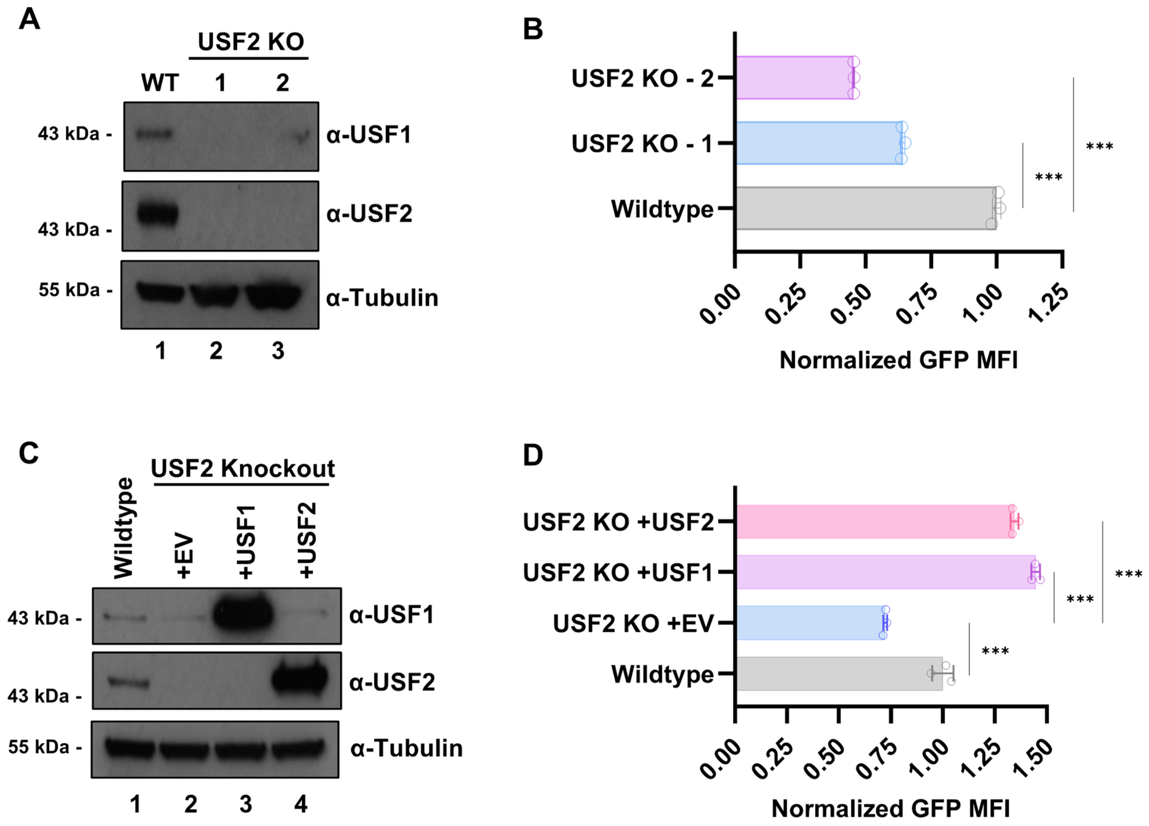 Viruses 15 01470 g002