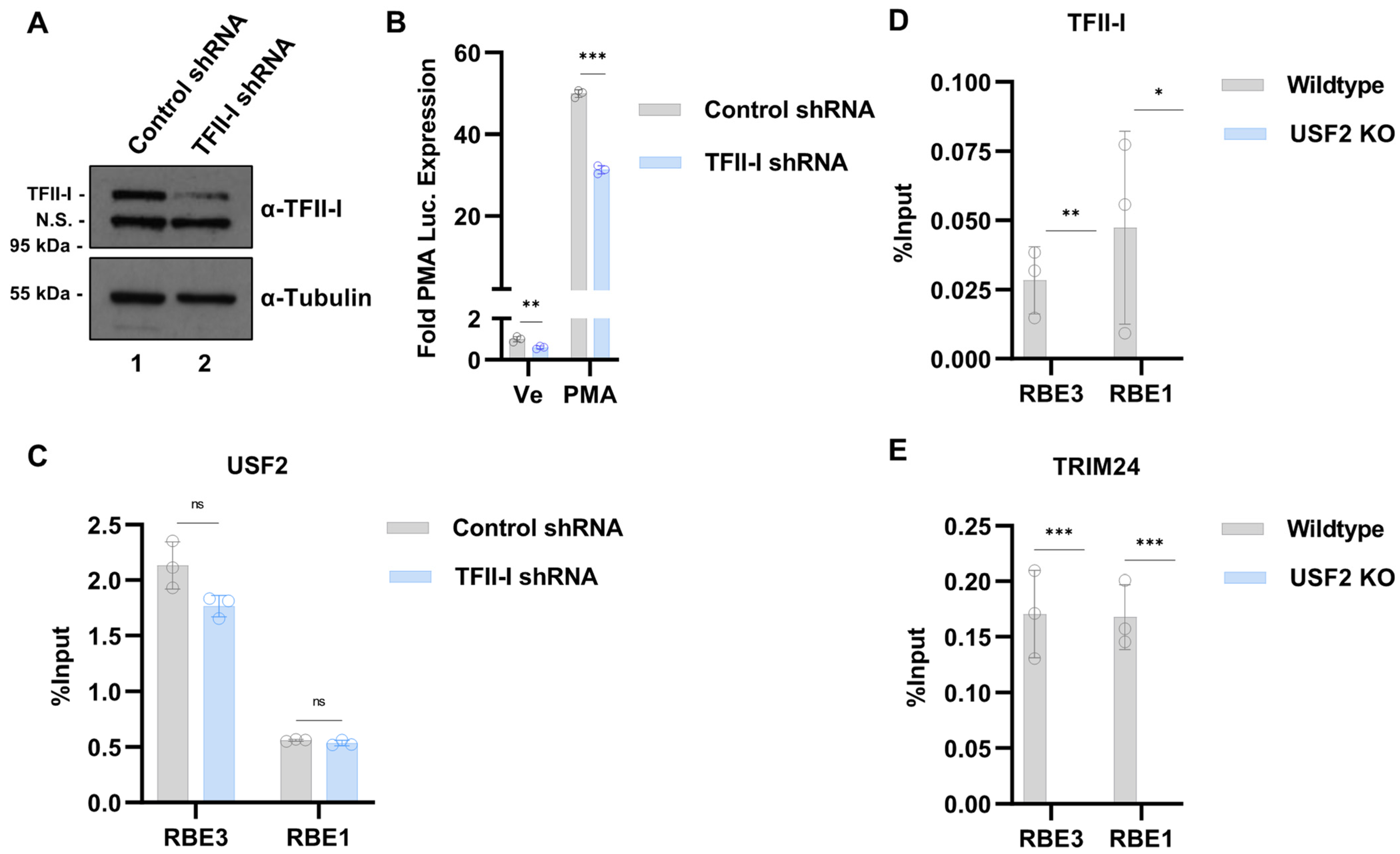 Viruses 15 01470 g006