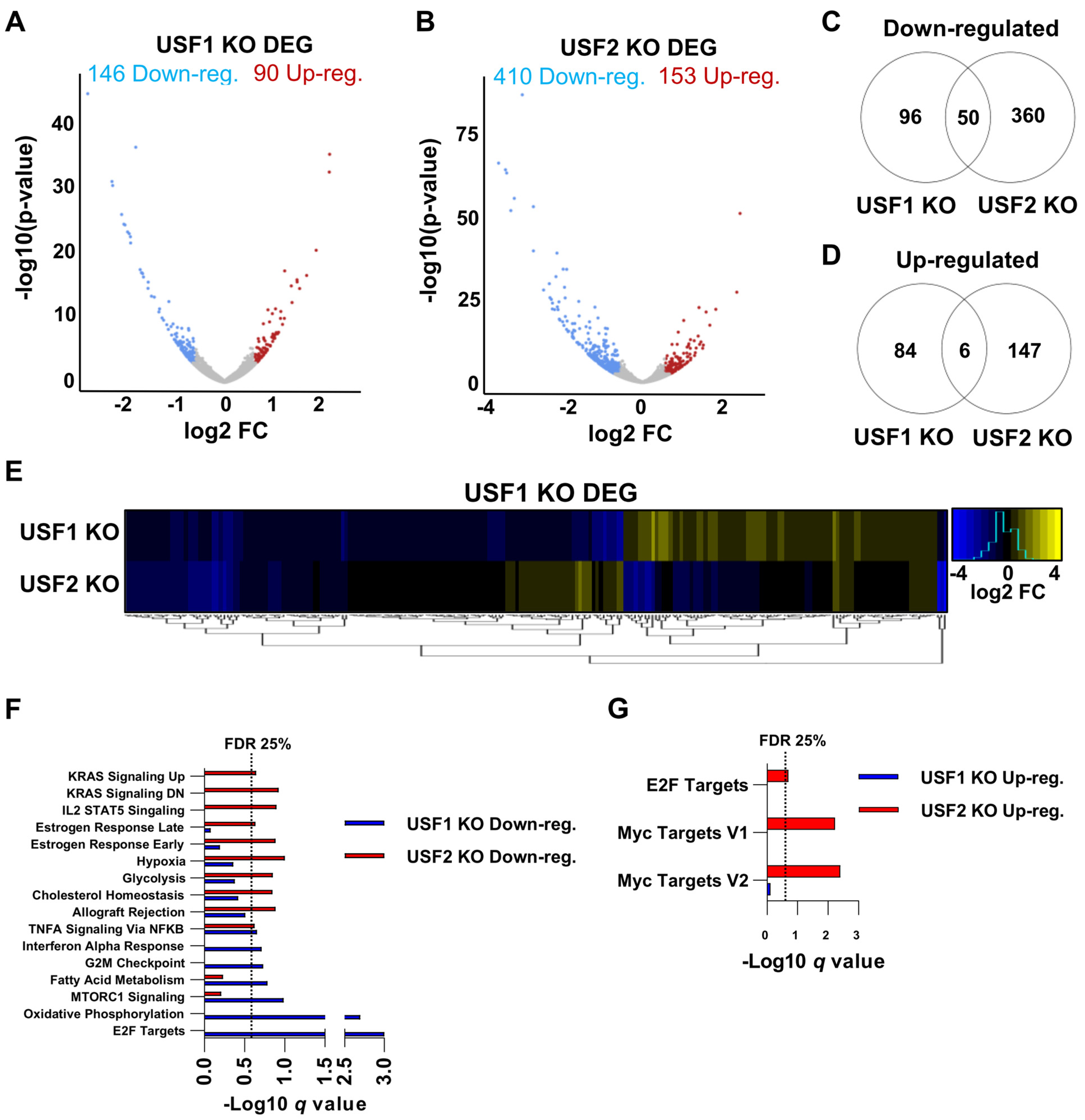 Viruses 15 01470 g007