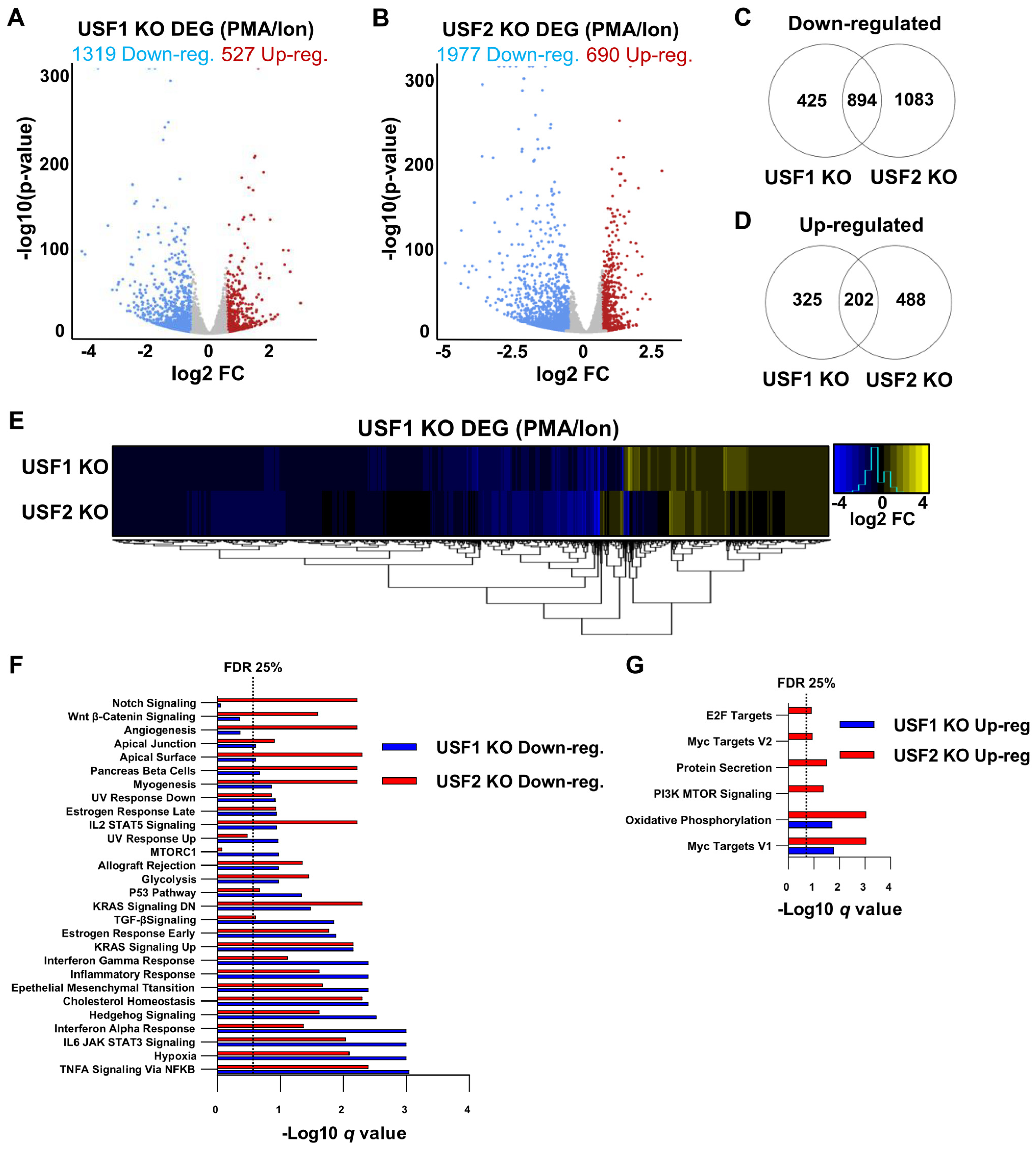 Viruses 15 01470 g008