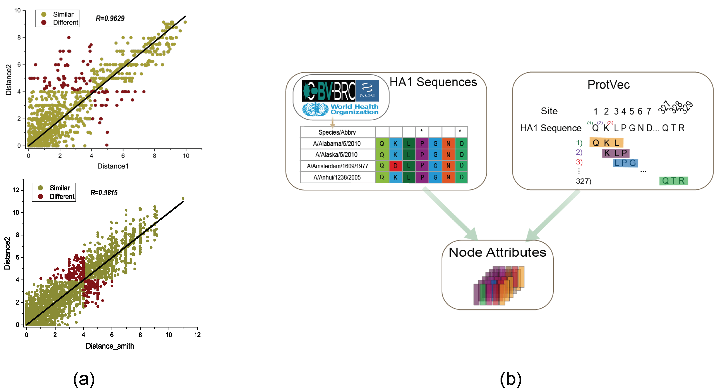 Viruses 15 01478 g002 Viruses 15 01478 g002