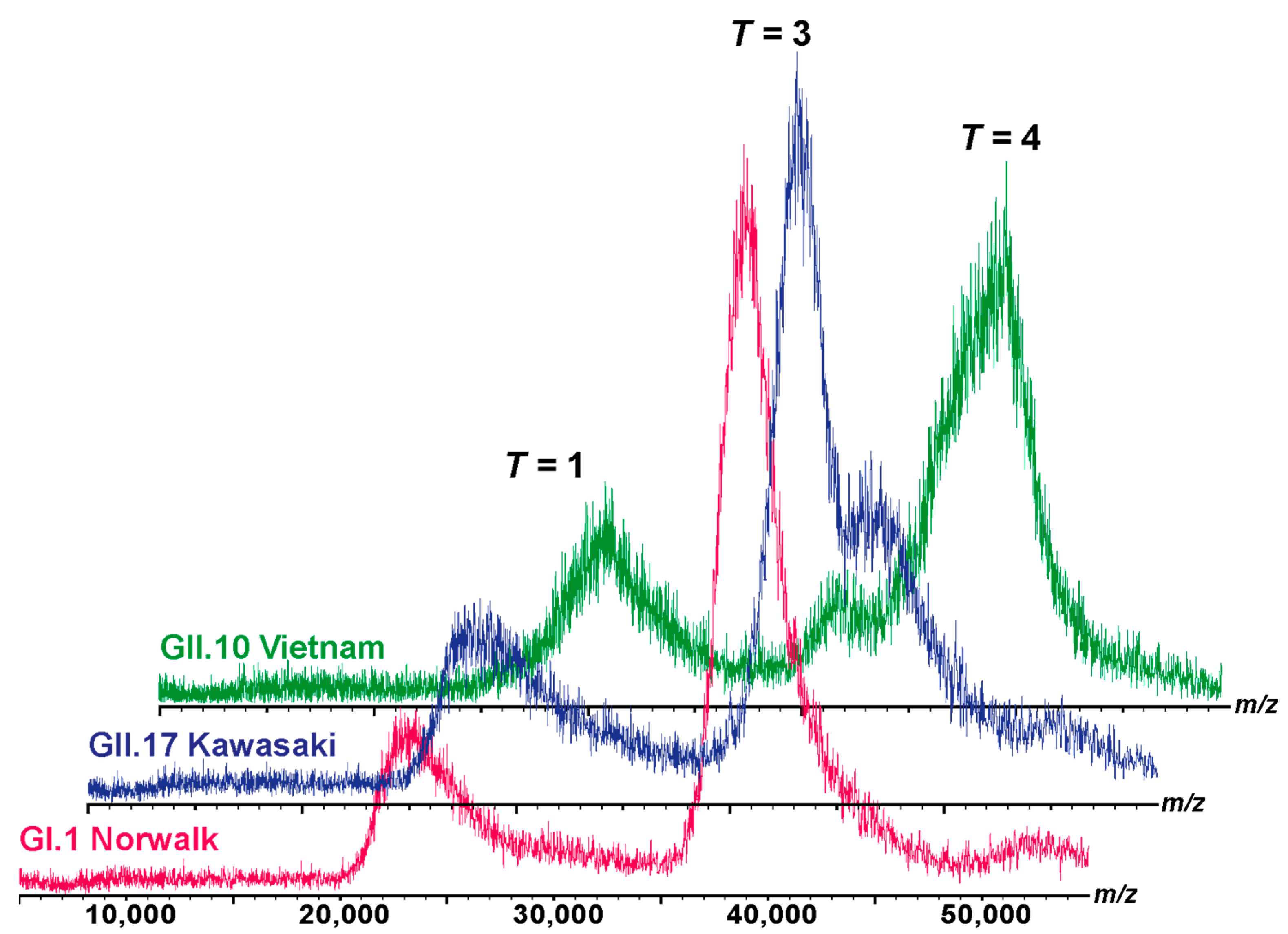 Viruses 15 01482 g002 Viruses 15 01482 g002