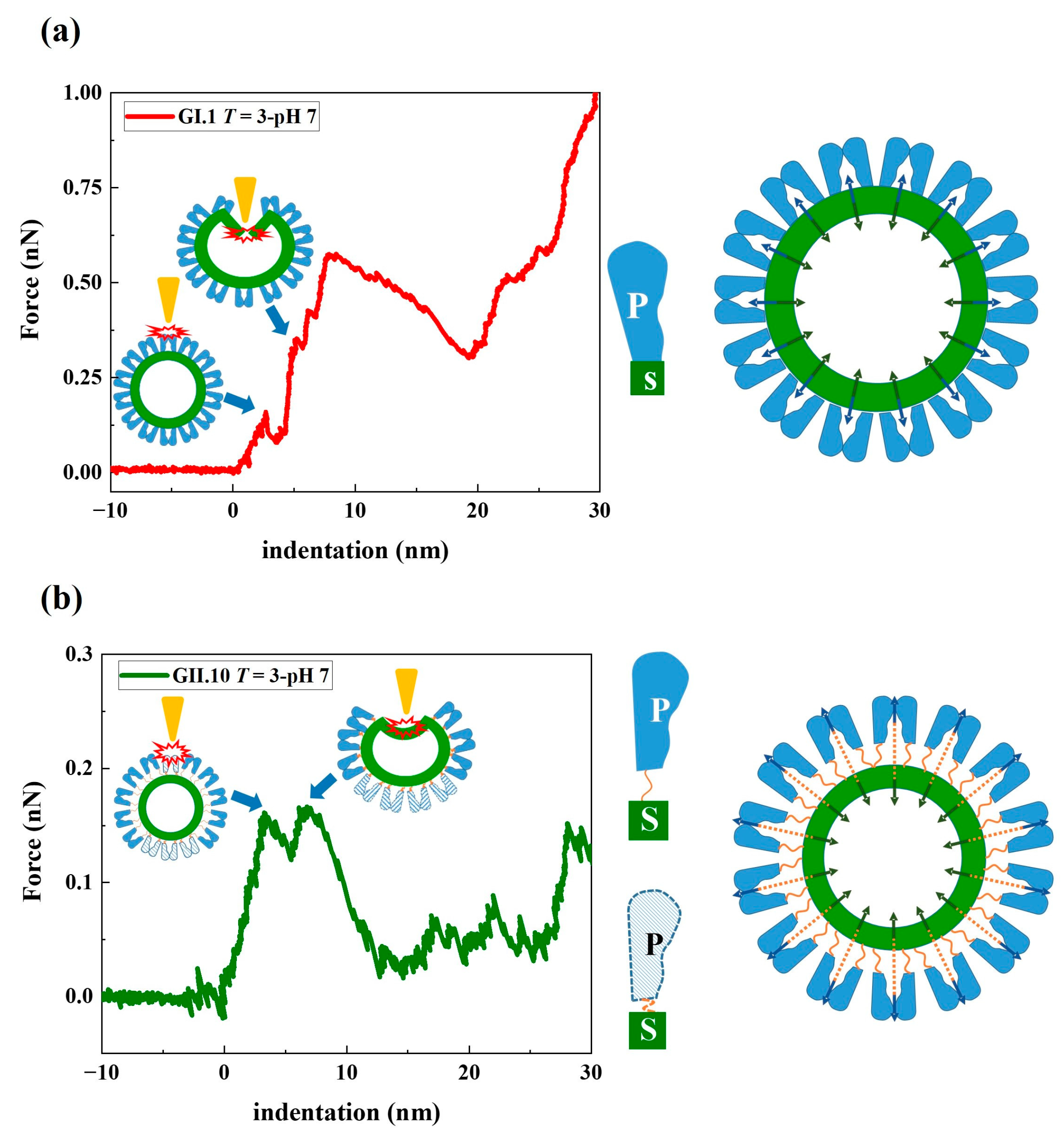 Viruses 15 01482 g006 Viruses 15 01482 g006
