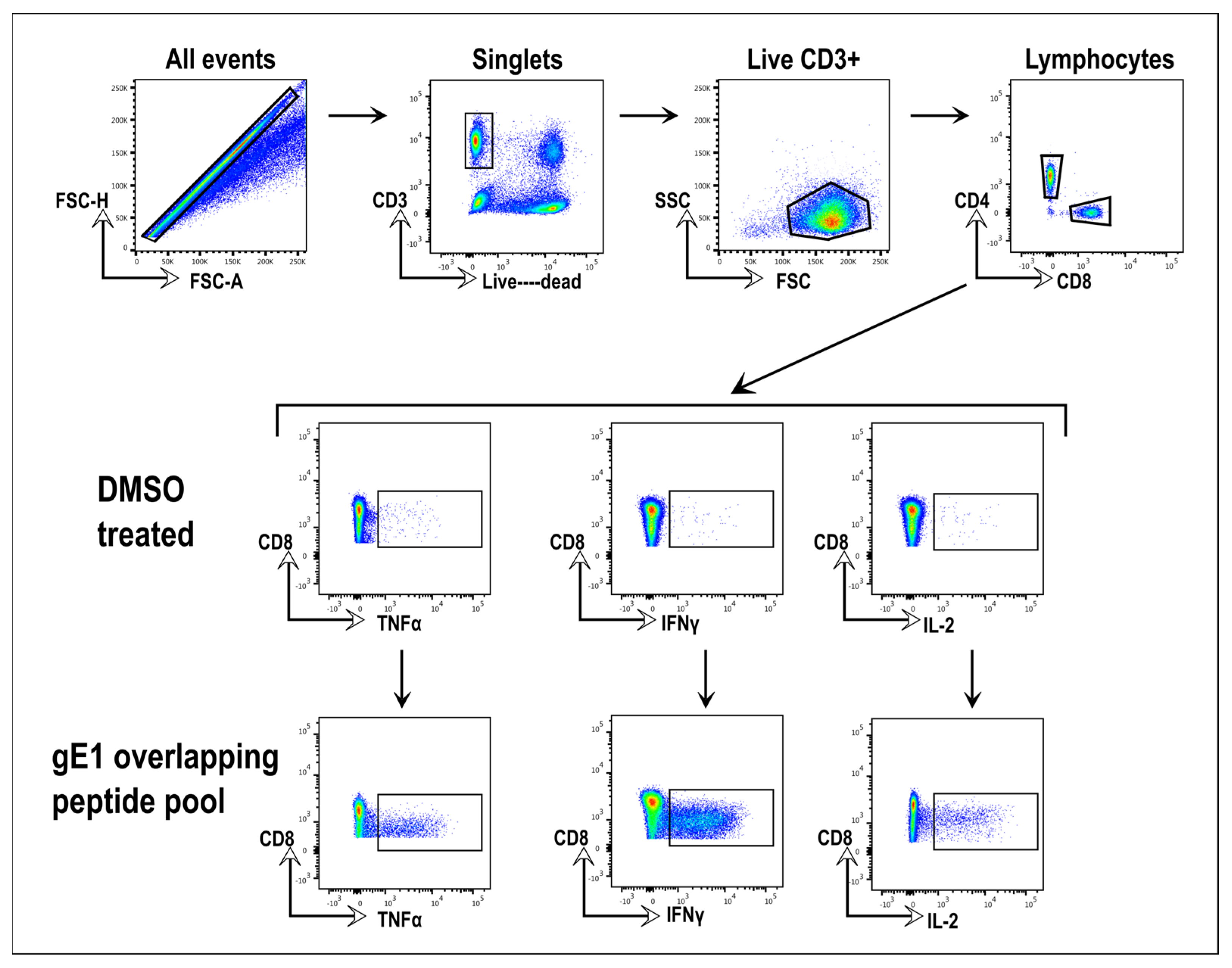 Viruses 15 01483 g002 Viruses 15 01483 g002