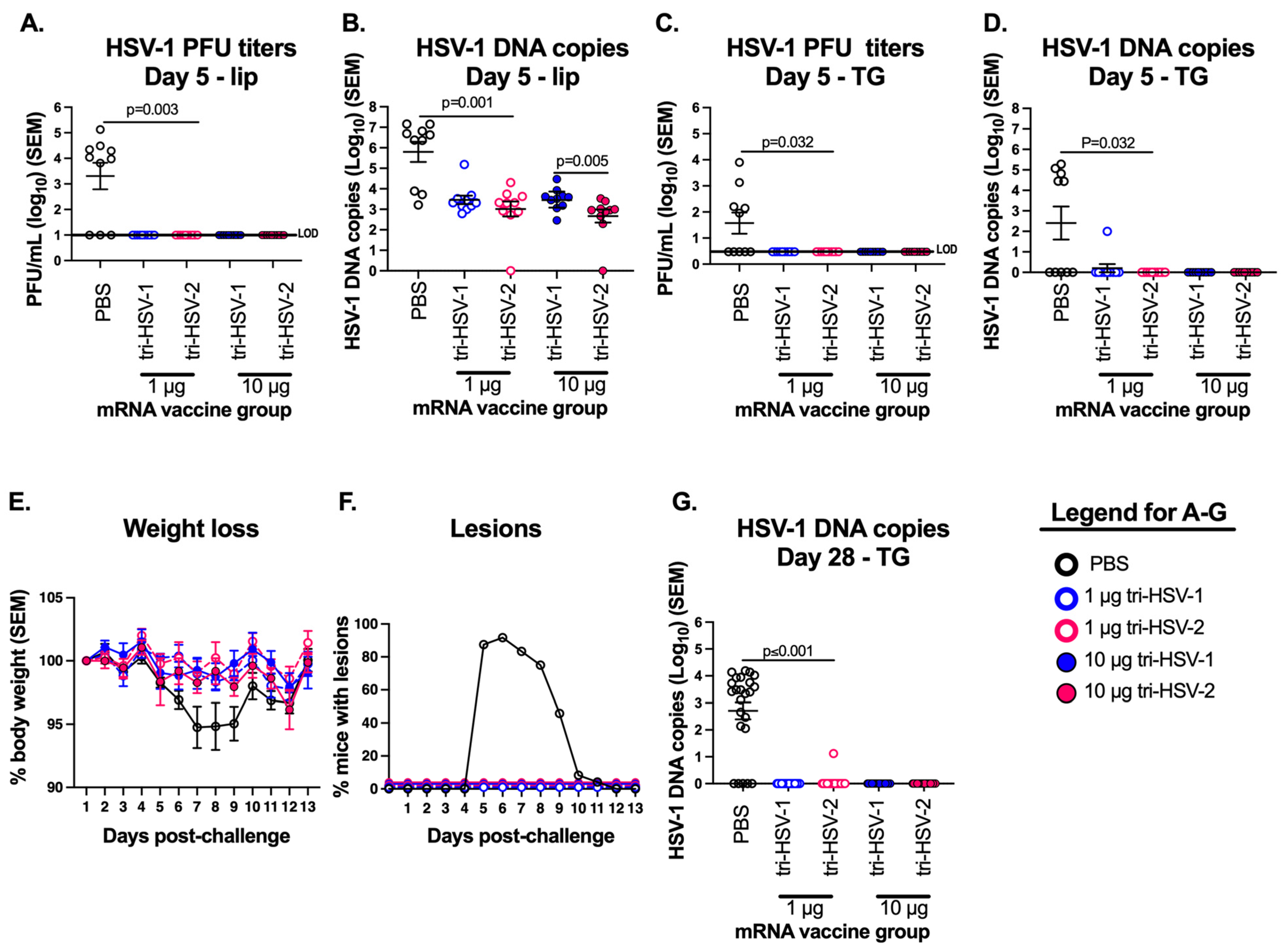 Viruses 15 01483 g004 Viruses 15 01483 g004