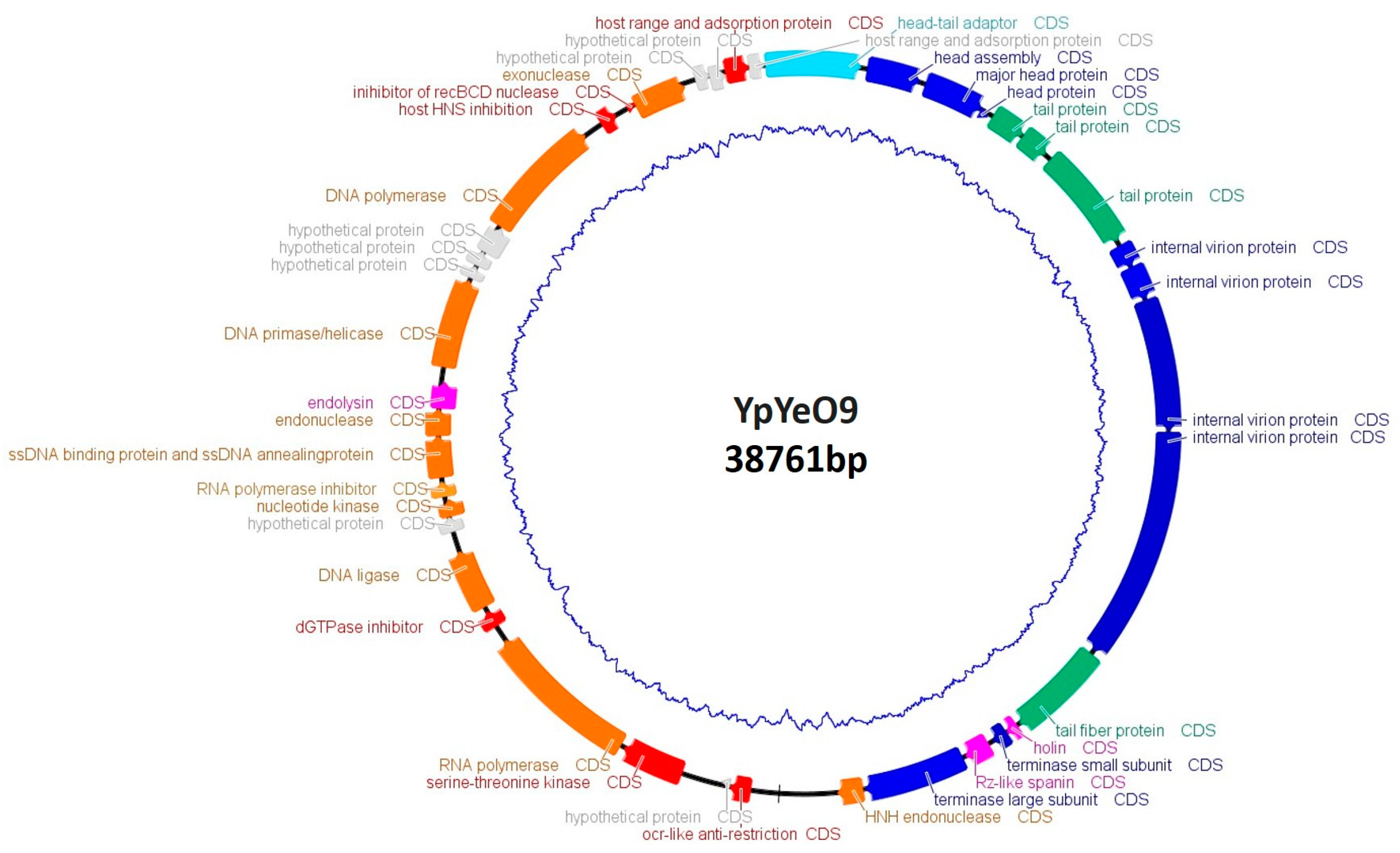 Viruses 15 01484 g002